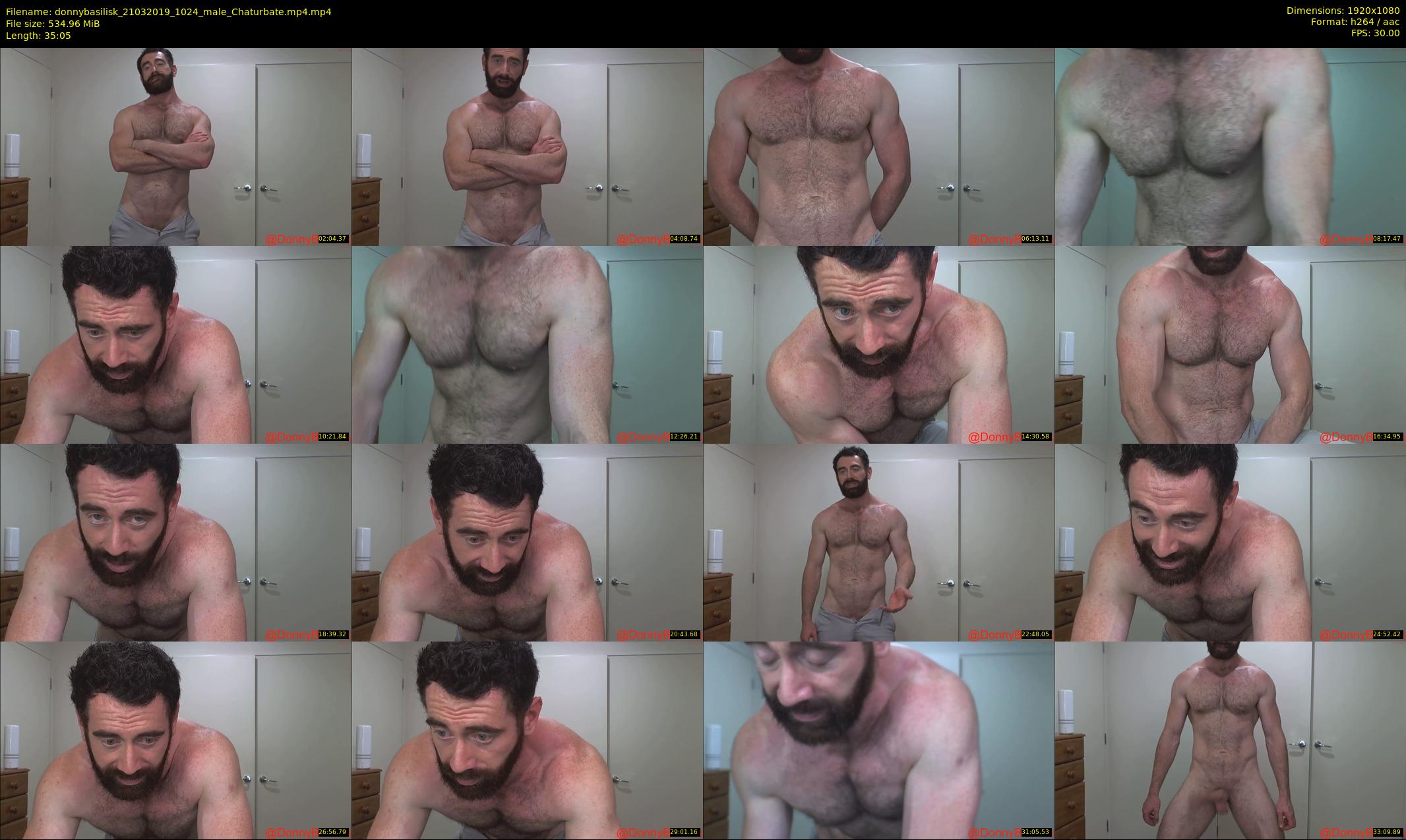 donnybasilisk — 36 minute Chaturbate male cam show recording, 1080p, Mar 21, 2019