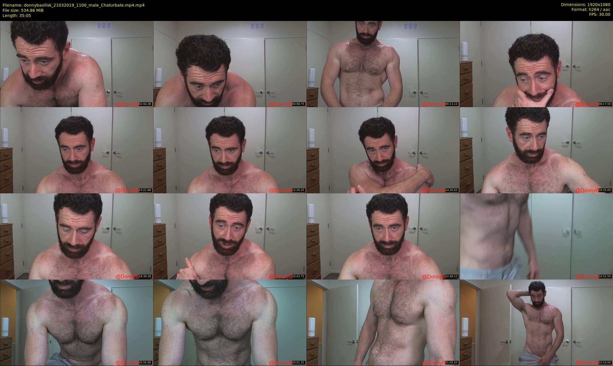 donnybasilisk — 36 minute Chaturbate male cam show recording, 1080p, Mar 21, 2019