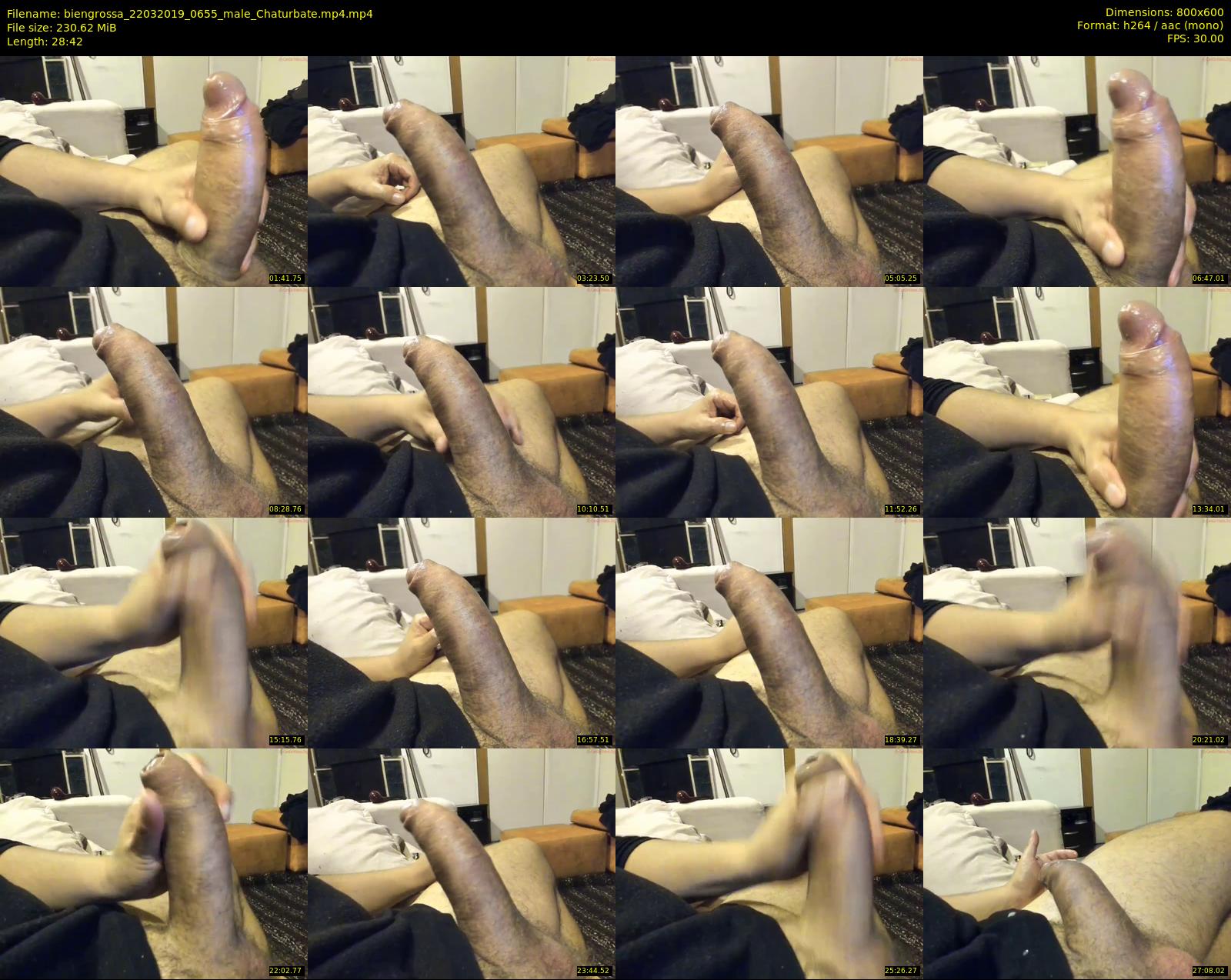 biengrossa — 29 minute Chaturbate male cam show recording, 480p, Mar 22, 2019