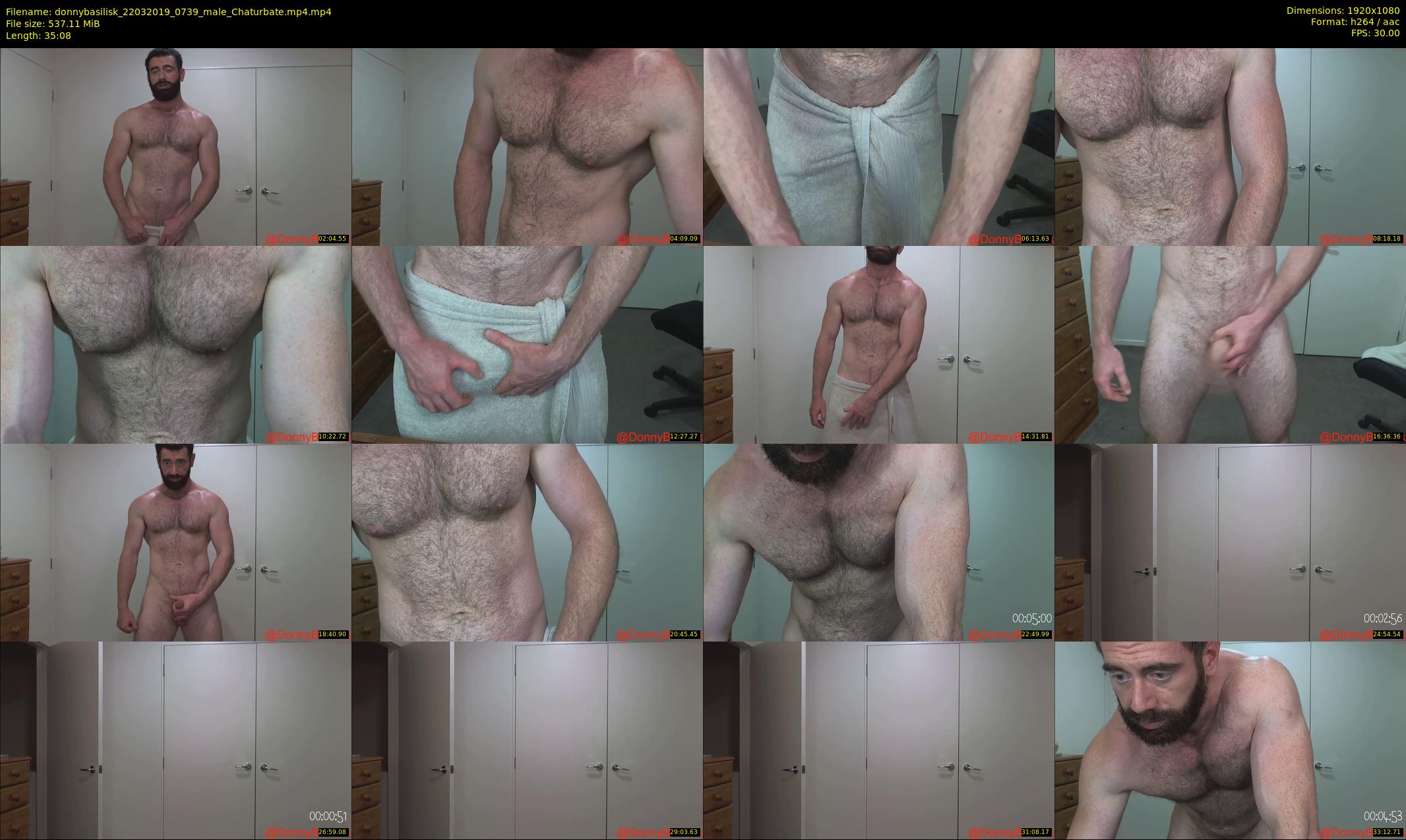 donnybasilisk — 36 minute Chaturbate male cam show recording, 1080p, Mar 22, 2019