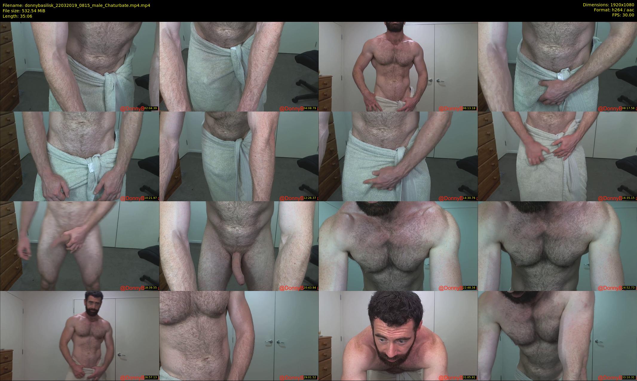 donnybasilisk — 36 minute Chaturbate male cam show recording, 1080p, Mar 22, 2019
