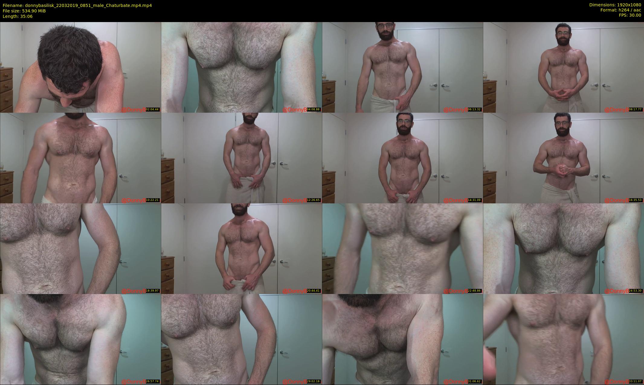 donnybasilisk — 36 minute Chaturbate male cam show recording, 1080p, Mar 22, 2019