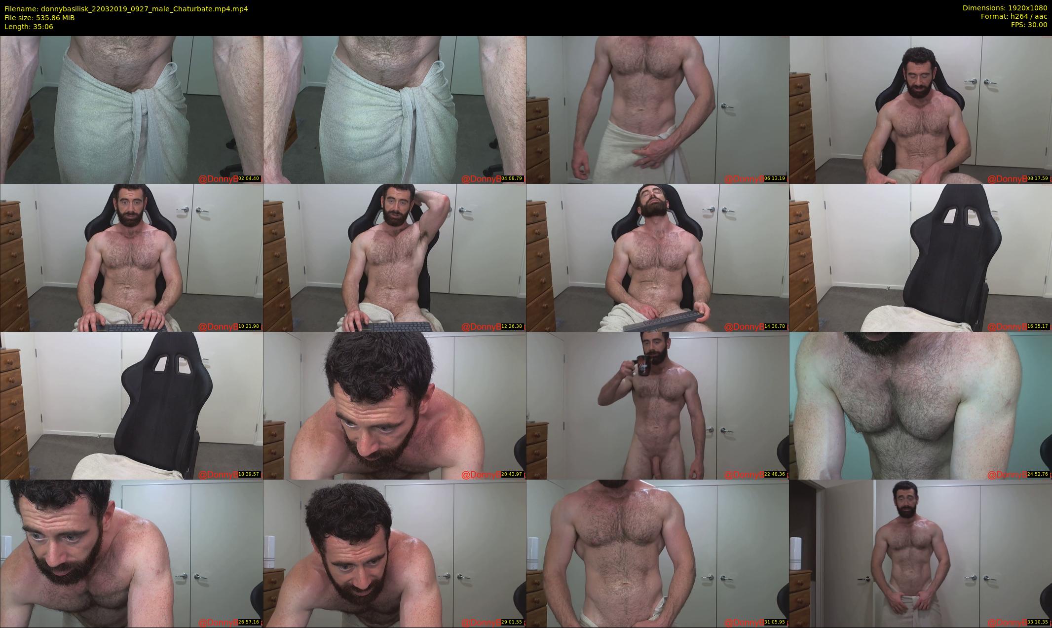 donnybasilisk — 36 minute Chaturbate male cam show recording, 1080p, Mar 22, 2019