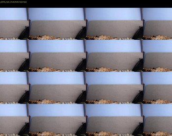 howardkottam — 29 minute Chaturbate male cam show recording, 720p, Mar 23, 2019