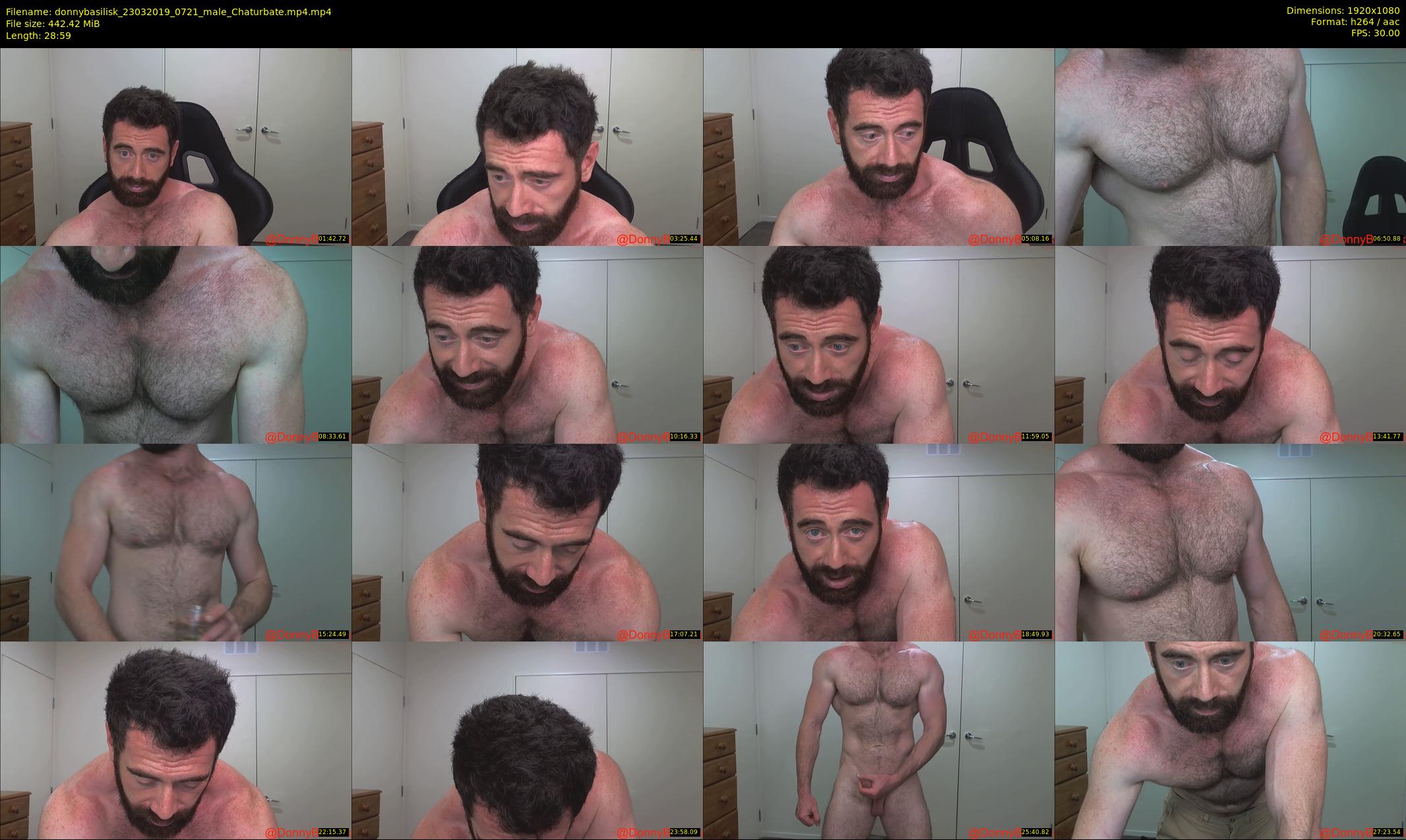 donnybasilisk — 29 minute Chaturbate male cam show recording, 1080p, Mar 23, 2019
