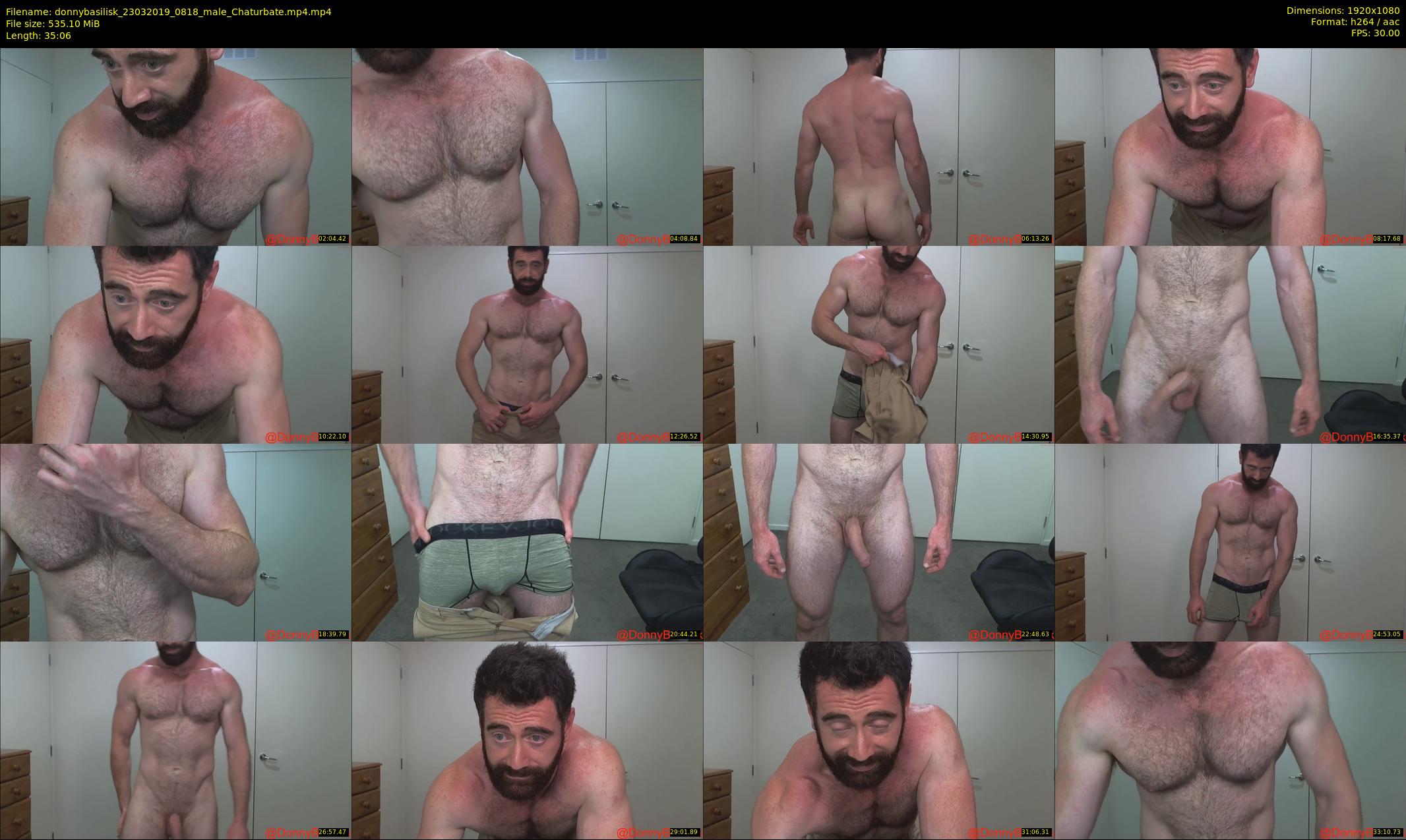 donnybasilisk — 36 minute Chaturbate male cam show recording, 1080p, Mar 23, 2019