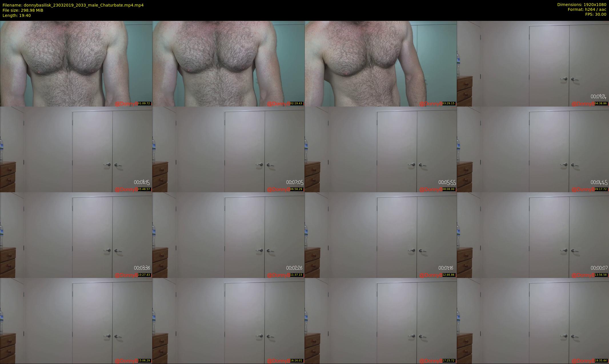 donnybasilisk — 20 minute Chaturbate male cam show recording, 1080p, Mar 23, 2019