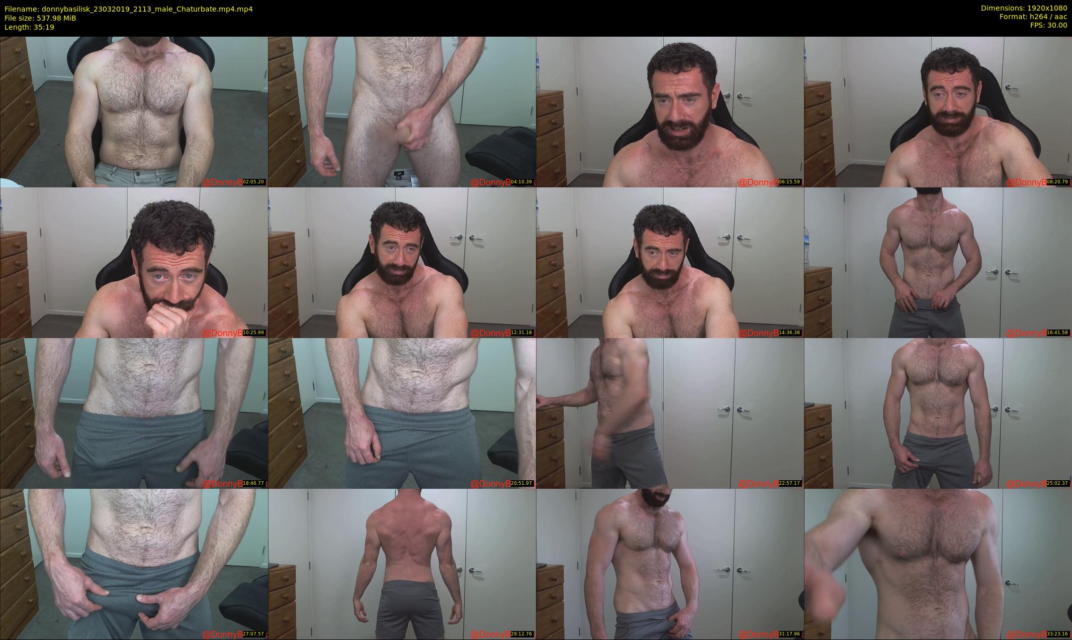 donnybasilisk — 36 minute Chaturbate male cam show recording, 1080p, Mar 23, 2019