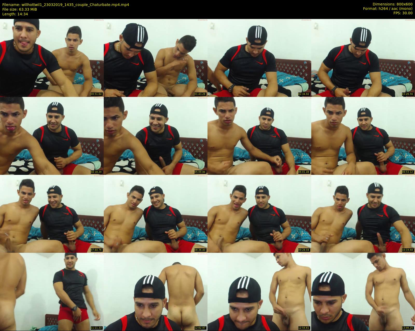 willhottwil1 — 15 minute Chaturbate couple cam show recording, 480p, Mar 23, 2019