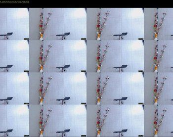 anisston_boods — 52 minute Chaturbate female cam show recording, 720p, Mar 24, 2019