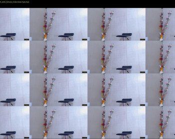 anisston_boods — 62 minute Chaturbate female cam show recording, 720p, Mar 25, 2019