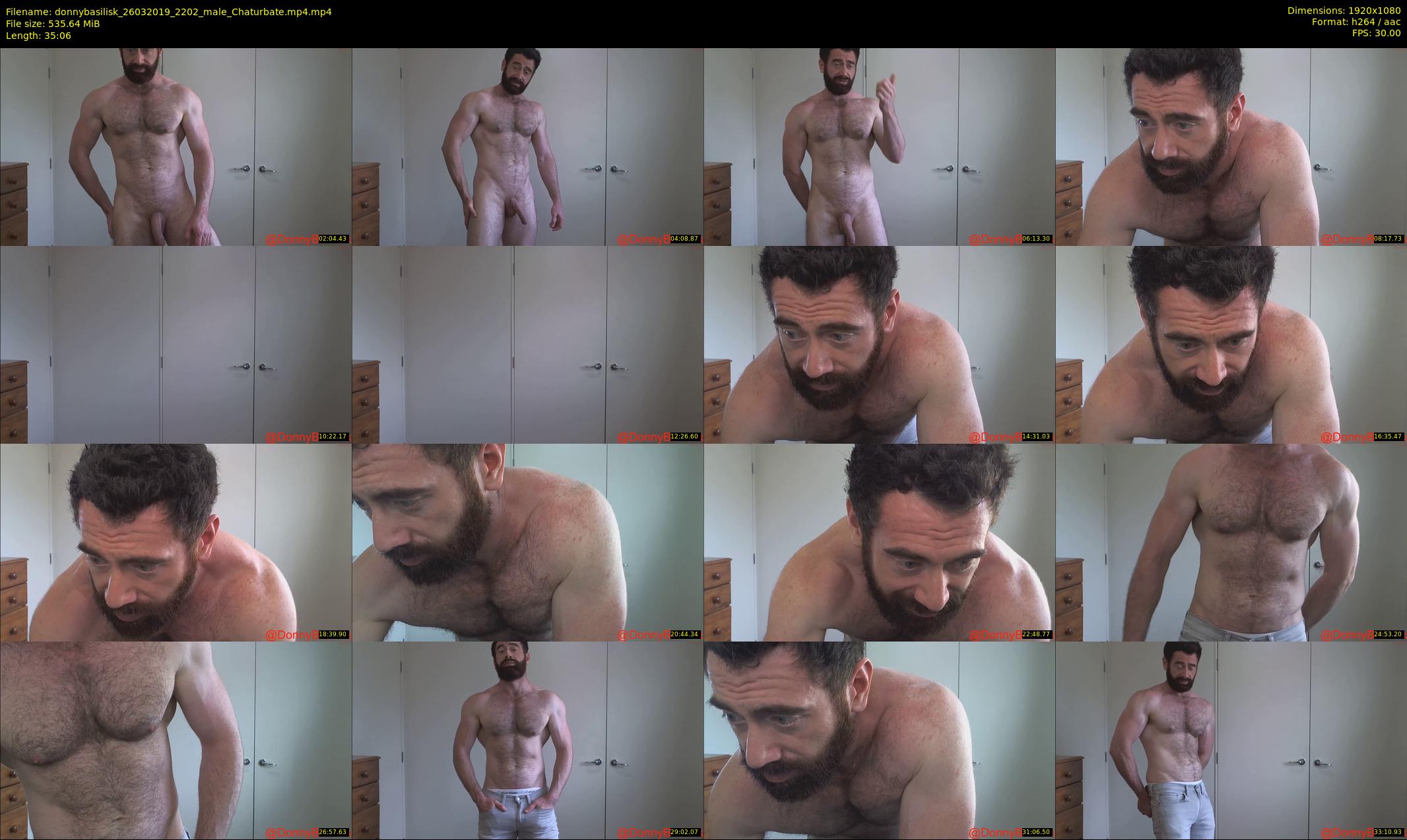 donnybasilisk — 36 minute Chaturbate male cam show recording, 1080p, Mar 26, 2019