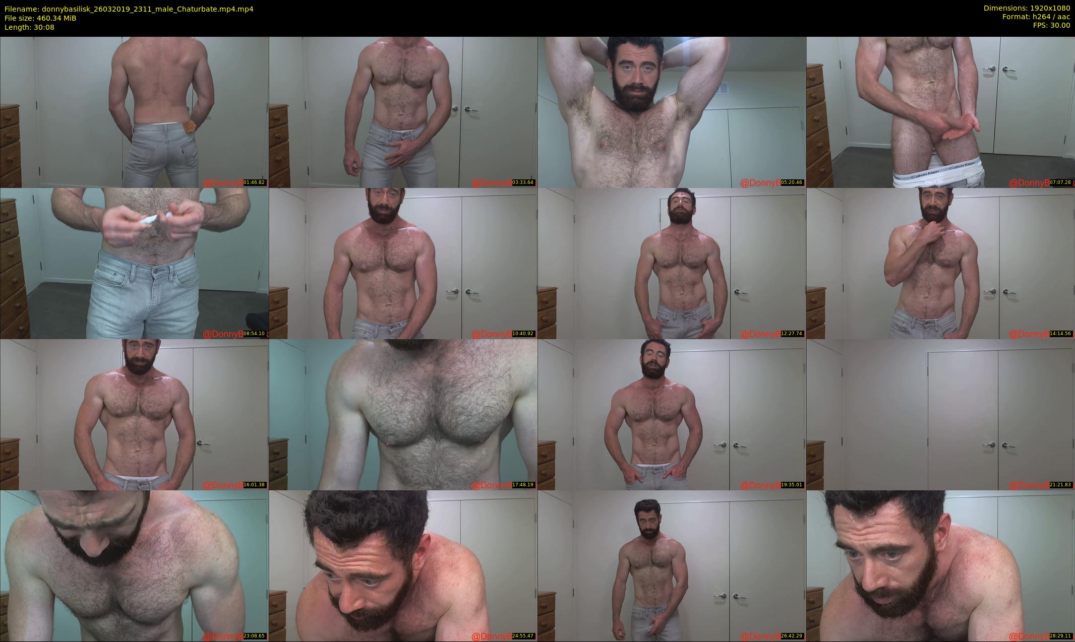 donnybasilisk — 31 minute Chaturbate male cam show recording, 1080p, Mar 26, 2019