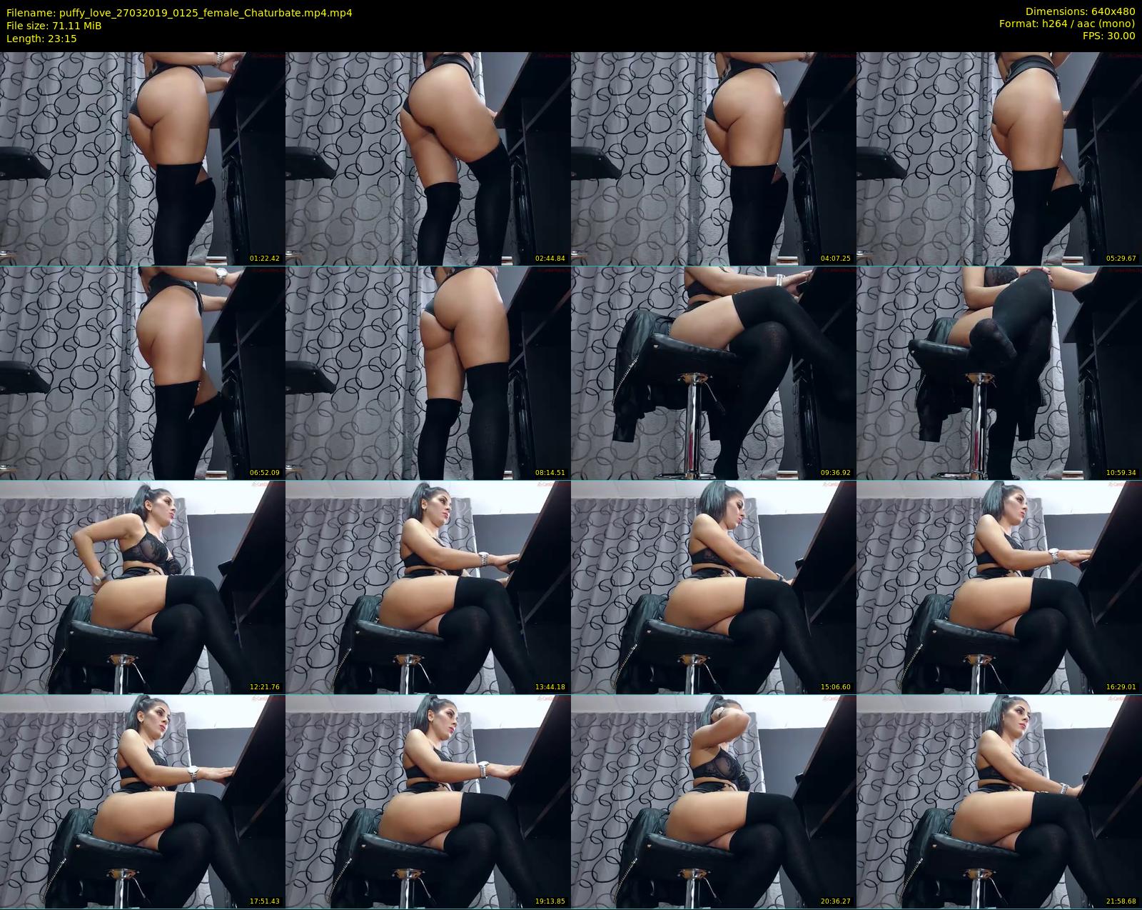 puffy_love — 24 minute Chaturbate female cam show recording, 480p, Mar 27, 2019