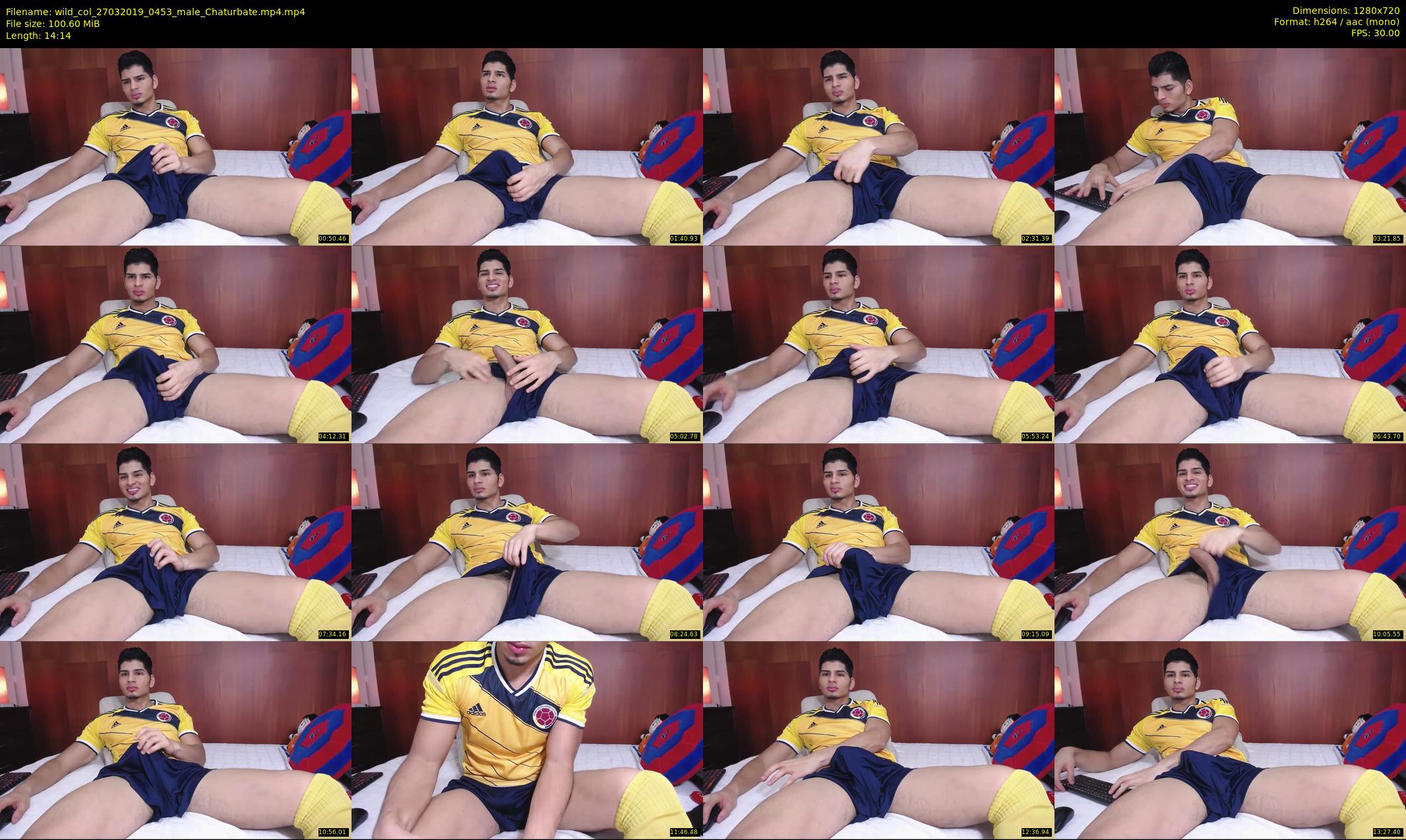 wild_col — 15 minute Chaturbate male cam show recording, 720p, Mar 27, 2019