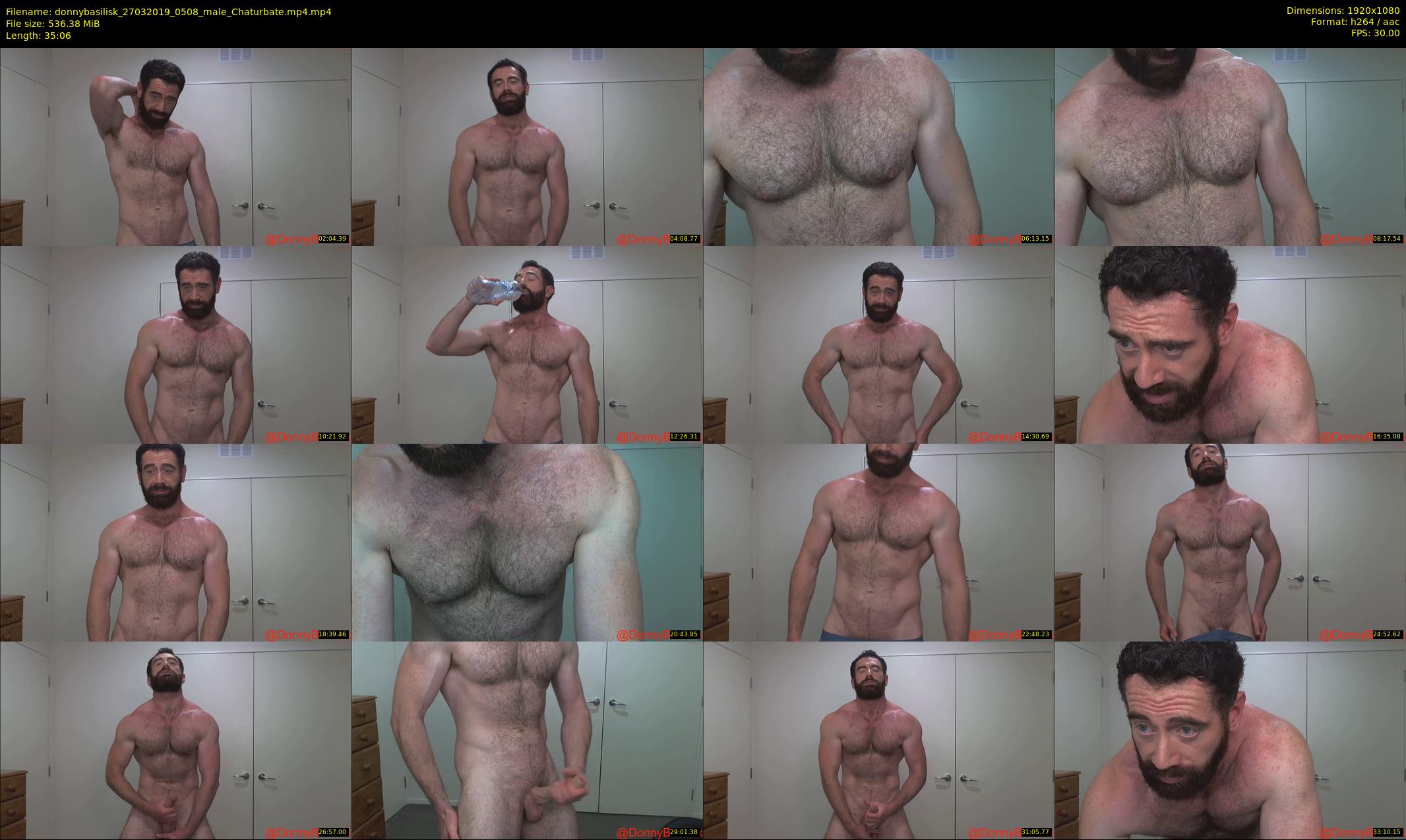 donnybasilisk — 36 minute Chaturbate male cam show recording, 1080p, Mar 27, 2019