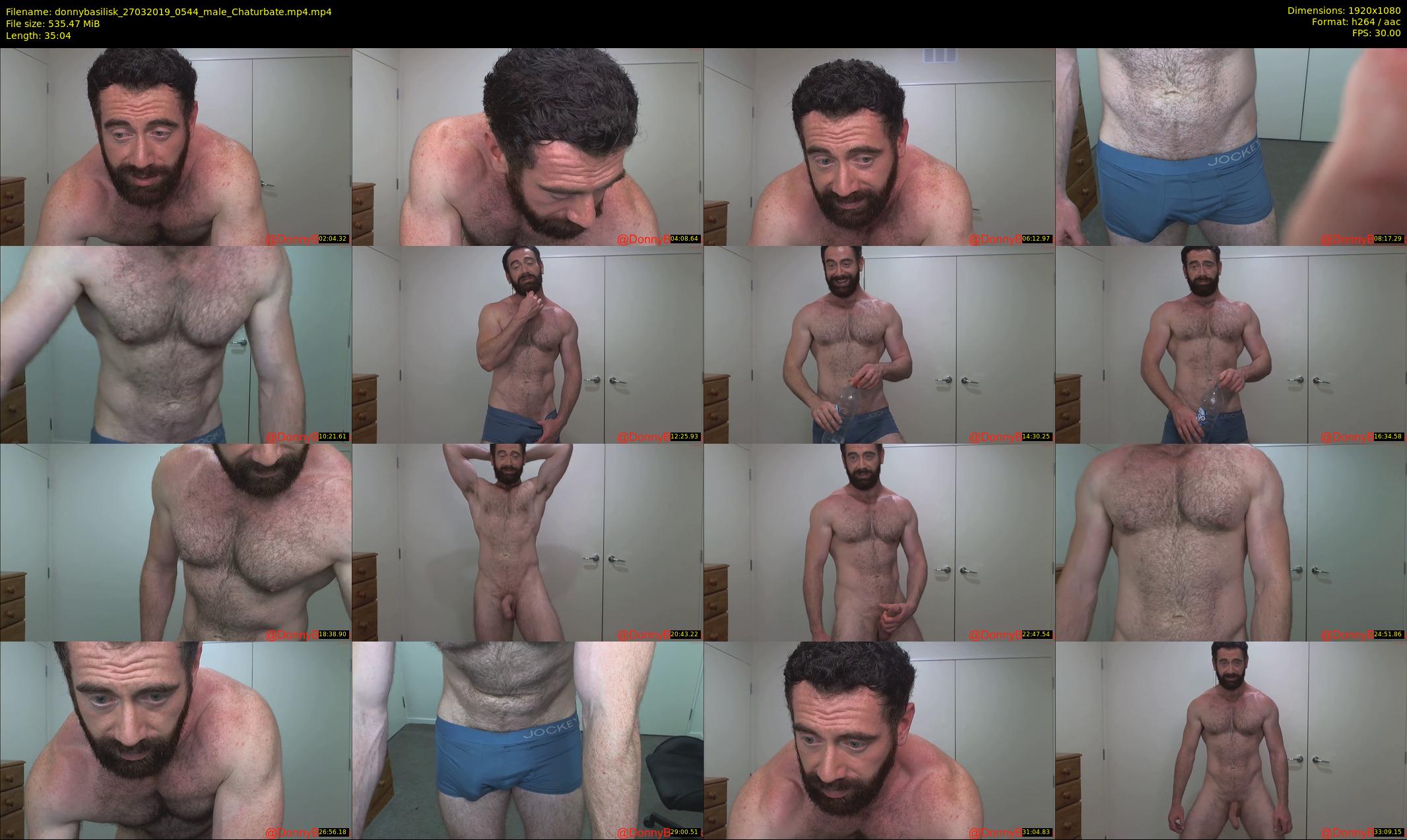 donnybasilisk — 36 minute Chaturbate male cam show recording, 1080p, Mar 27, 2019