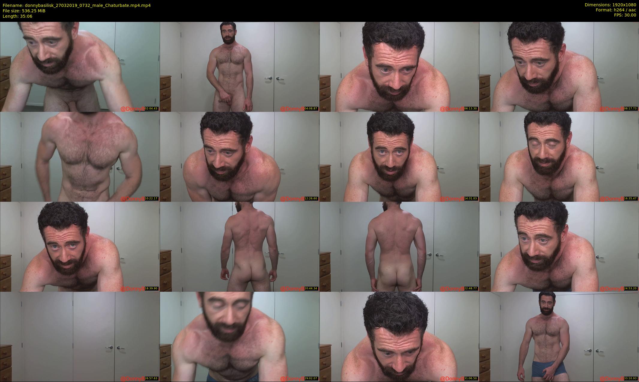 donnybasilisk — 36 minute Chaturbate male cam show recording, 1080p, Mar 27, 2019