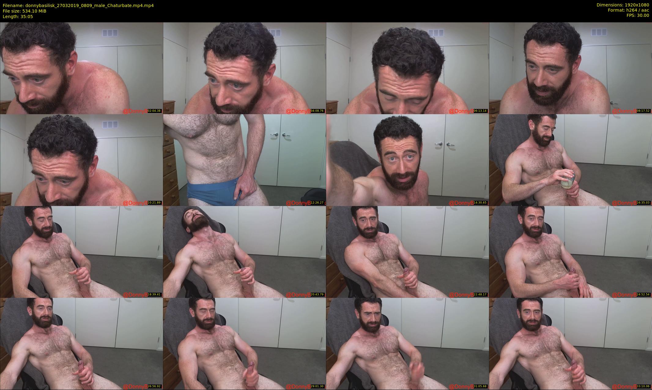 donnybasilisk — 36 minute Chaturbate male cam show recording, 1080p, Mar 27, 2019