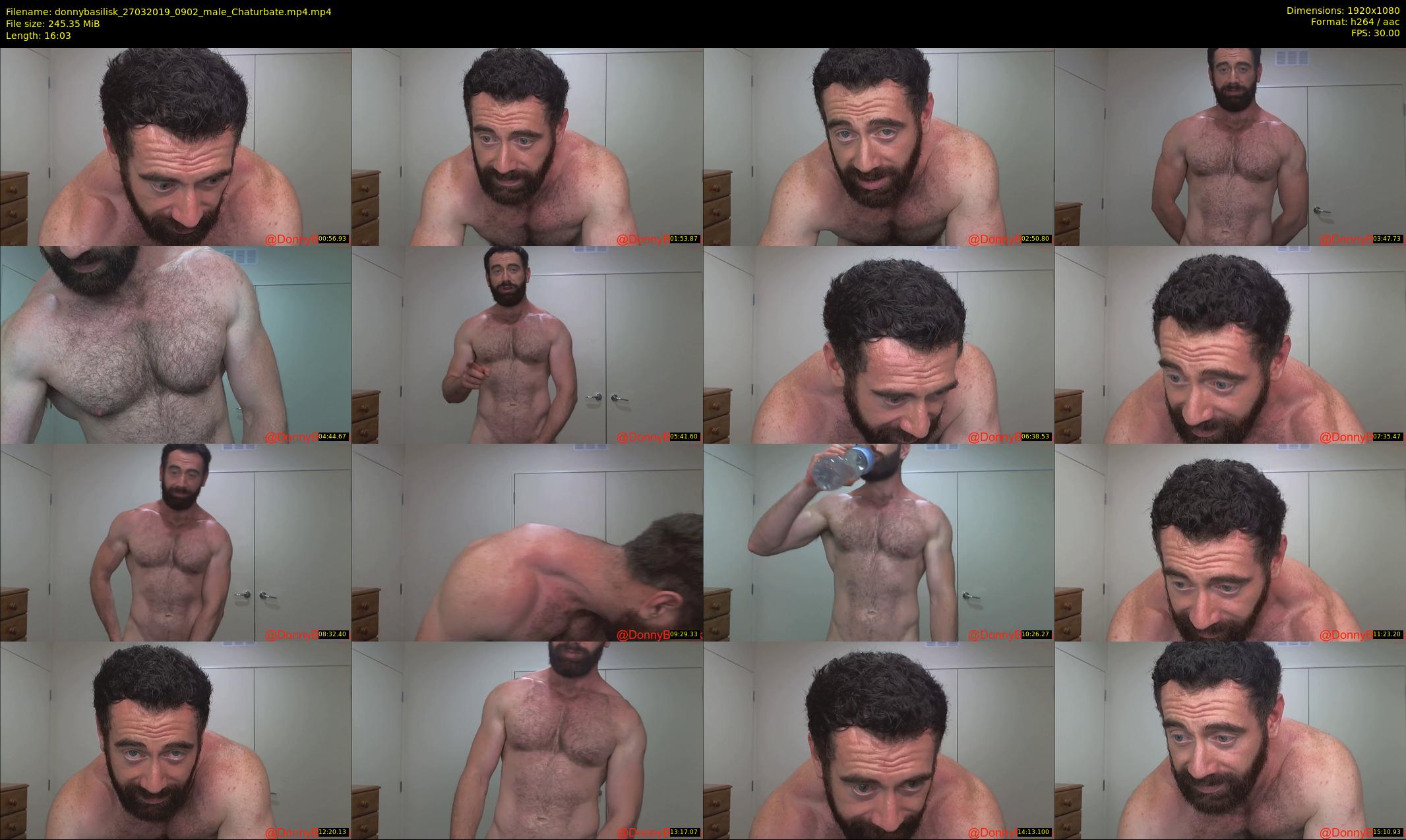 donnybasilisk — 17 minute Chaturbate male cam show recording, 1080p, Mar 27, 2019