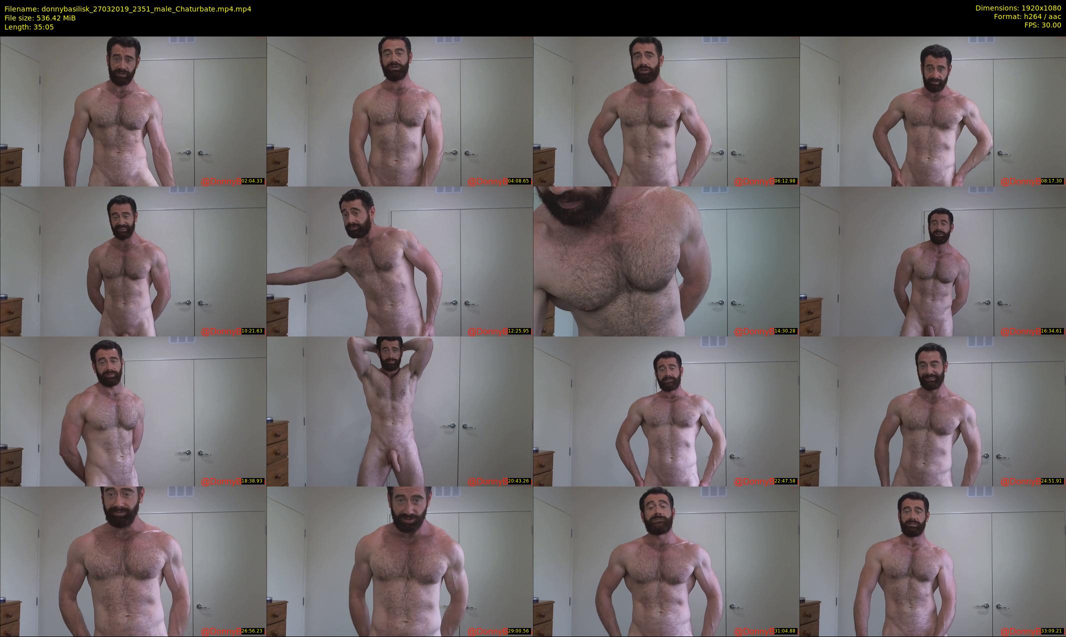 donnybasilisk — 36 minute Chaturbate male cam show recording, 1080p, Mar 27, 2019