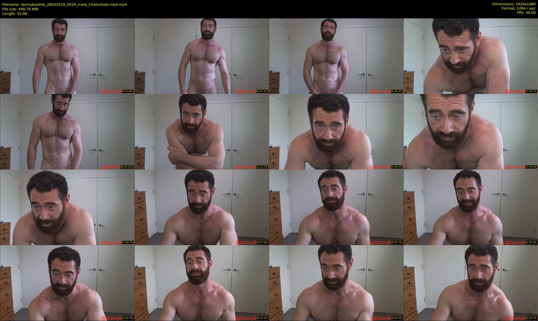 donnybasilisk — 33 minute Chaturbate male cam show recording, 1080p, Mar 28, 2019