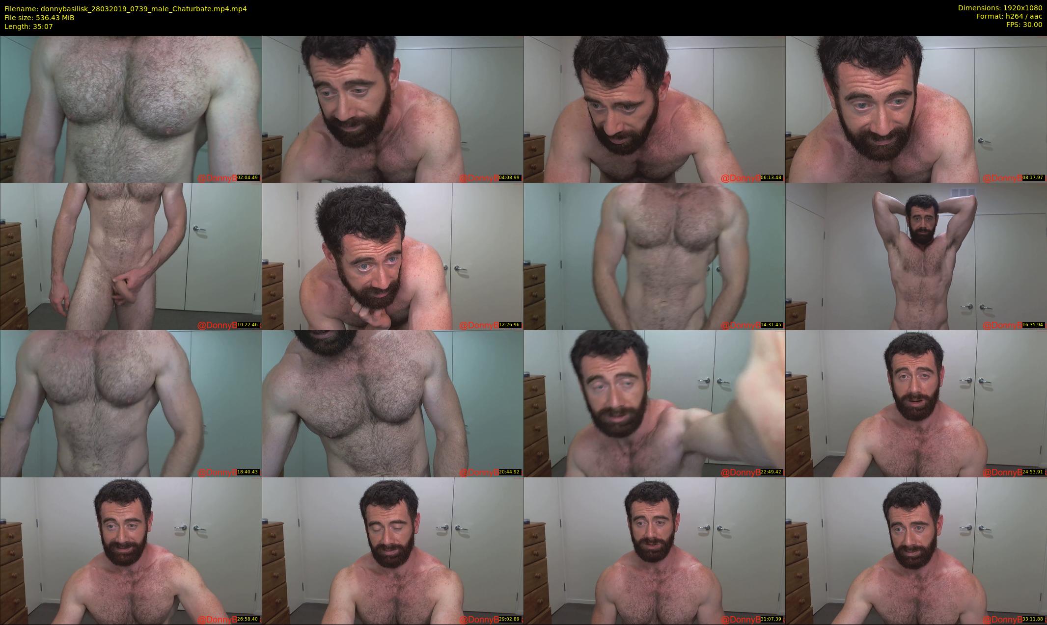 donnybasilisk — 36 minute Chaturbate male cam show recording, 1080p, Mar 28, 2019