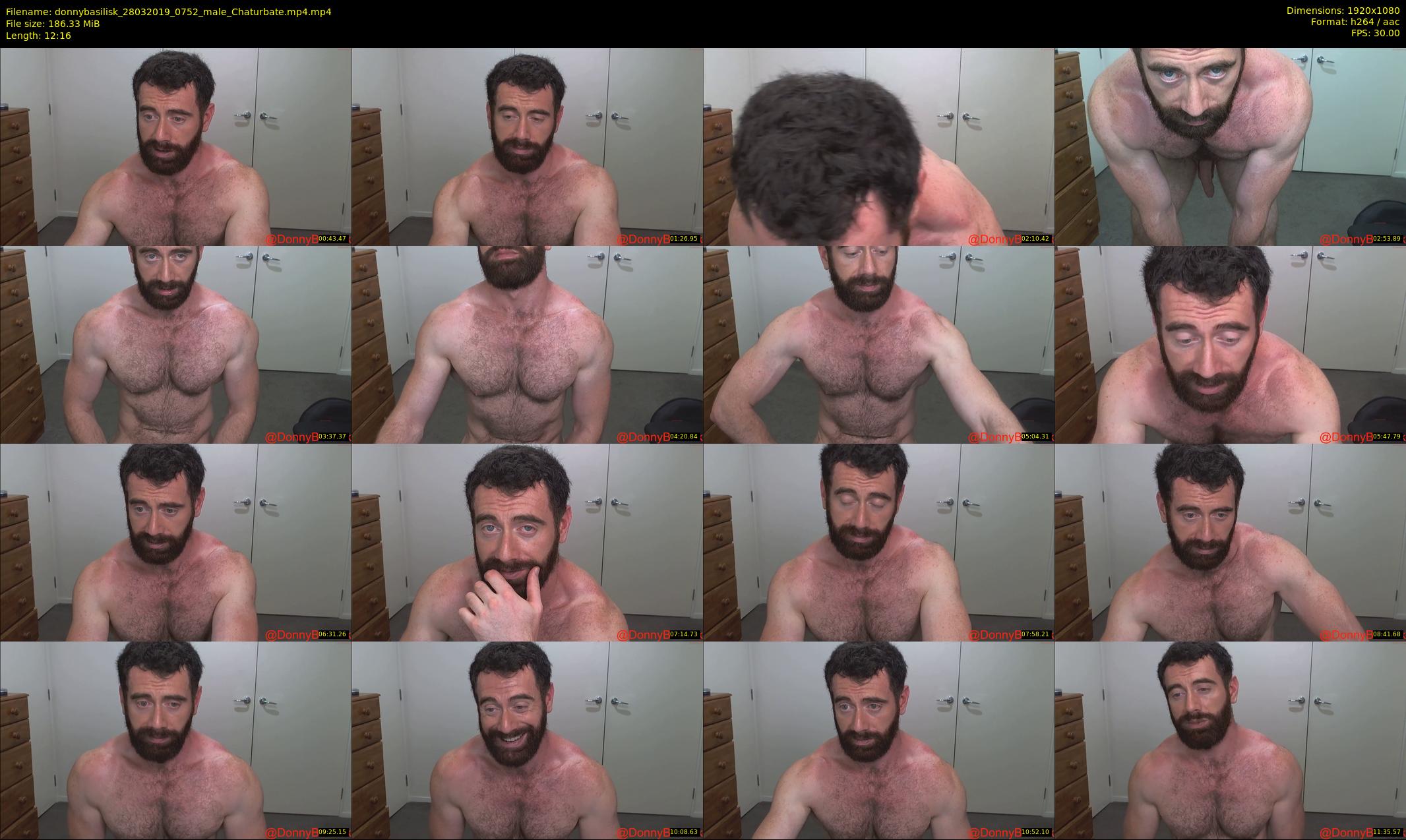 donnybasilisk — 13 minute Chaturbate male cam show recording, 1080p, Mar 28, 2019