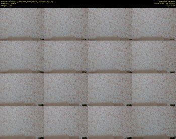 helen_bee — 16 minute Chaturbate female cam show recording, 480p, Mar 28, 2019