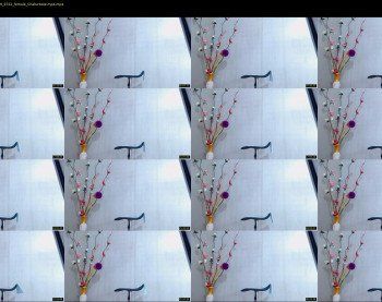 anisston_boods — 44 minute Chaturbate female cam show recording, 720p, Mar 29, 2019