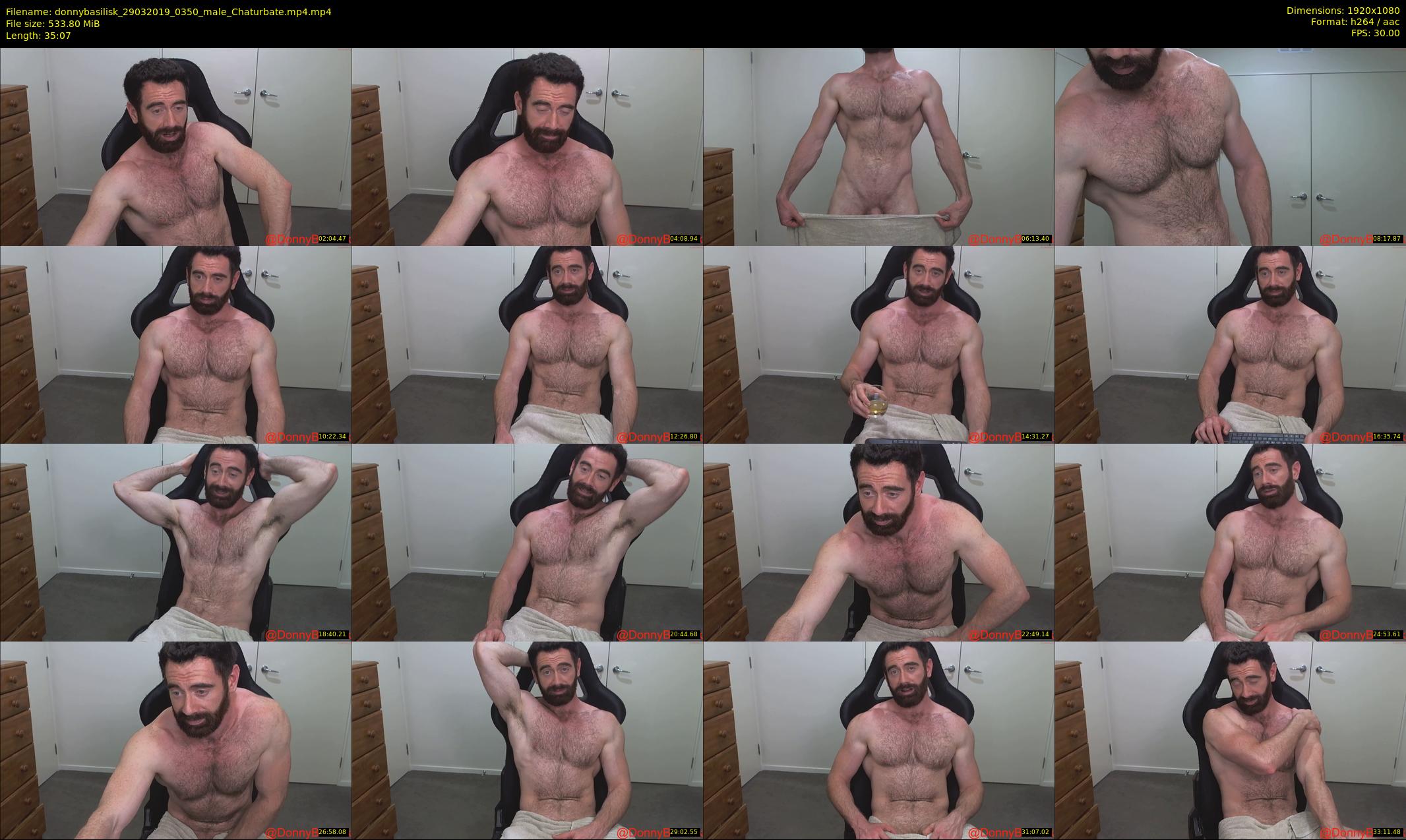 donnybasilisk — 36 minute Chaturbate male cam show recording, 1080p, Mar 29, 2019