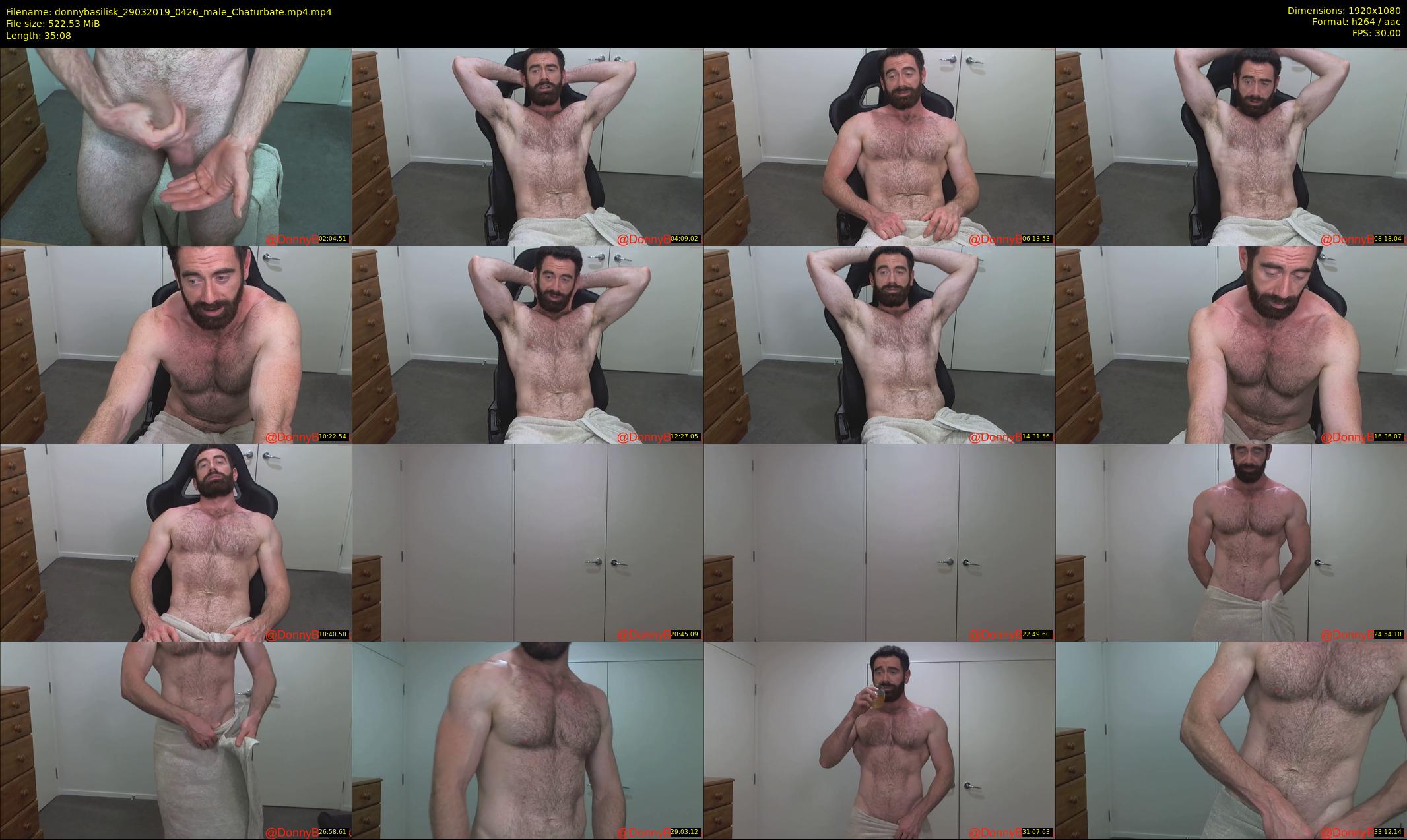donnybasilisk — 36 minute Chaturbate male cam show recording, 1080p, Mar 29, 2019