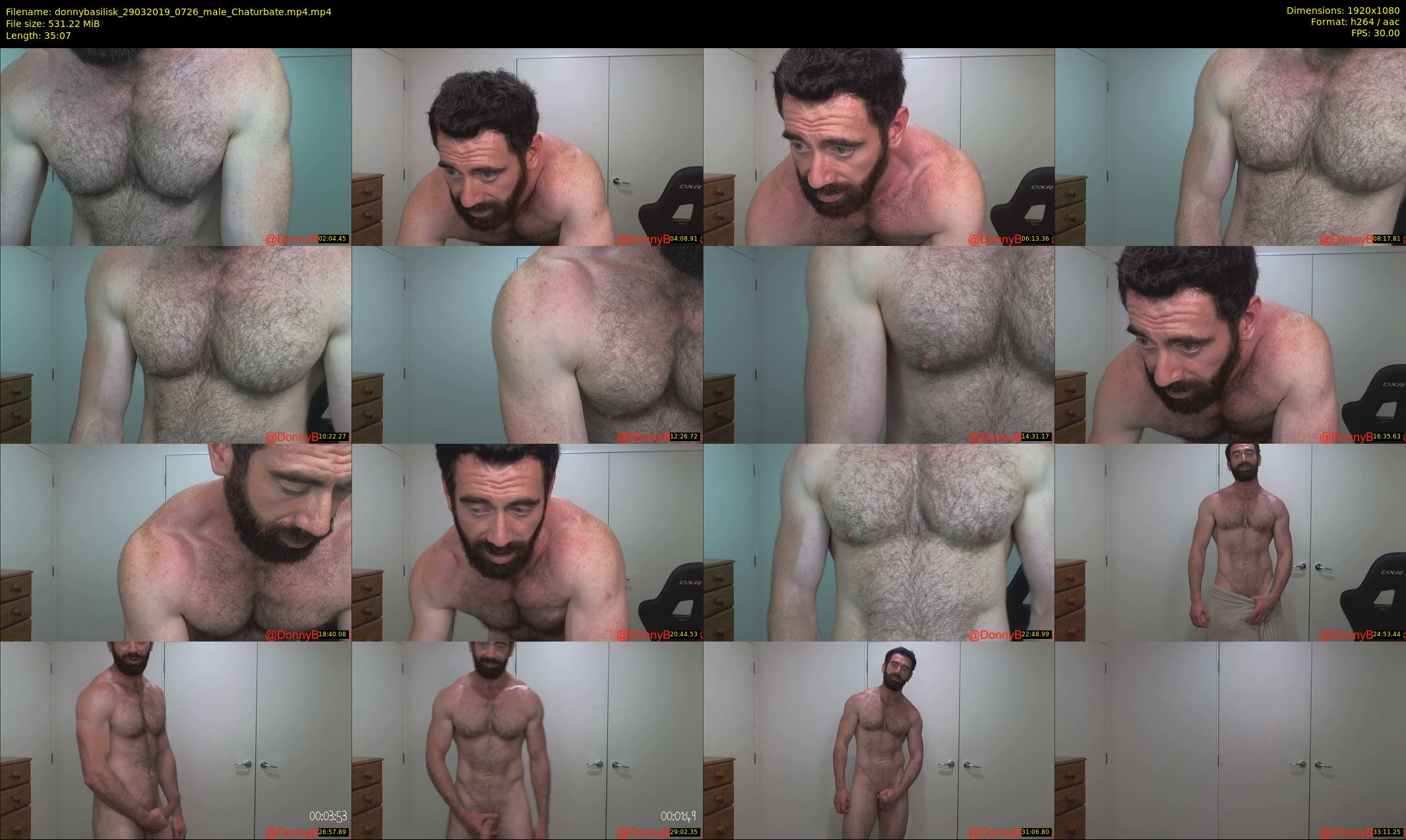 donnybasilisk — 36 minute Chaturbate male cam show recording, 1080p, Mar 29, 2019