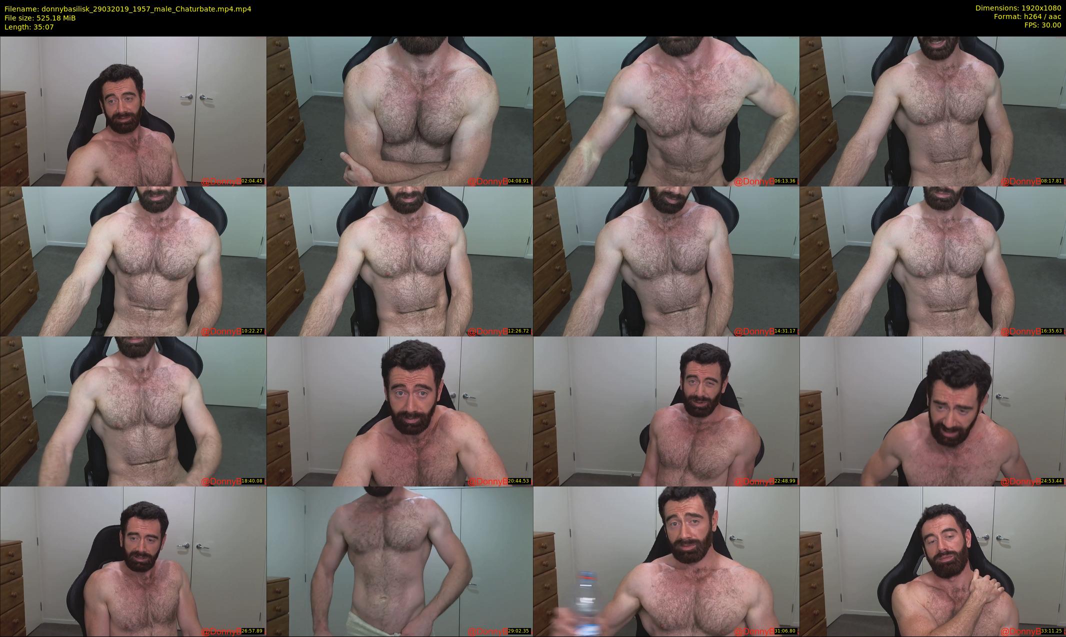 donnybasilisk — 36 minute Chaturbate male cam show recording, 1080p, Mar 29, 2019