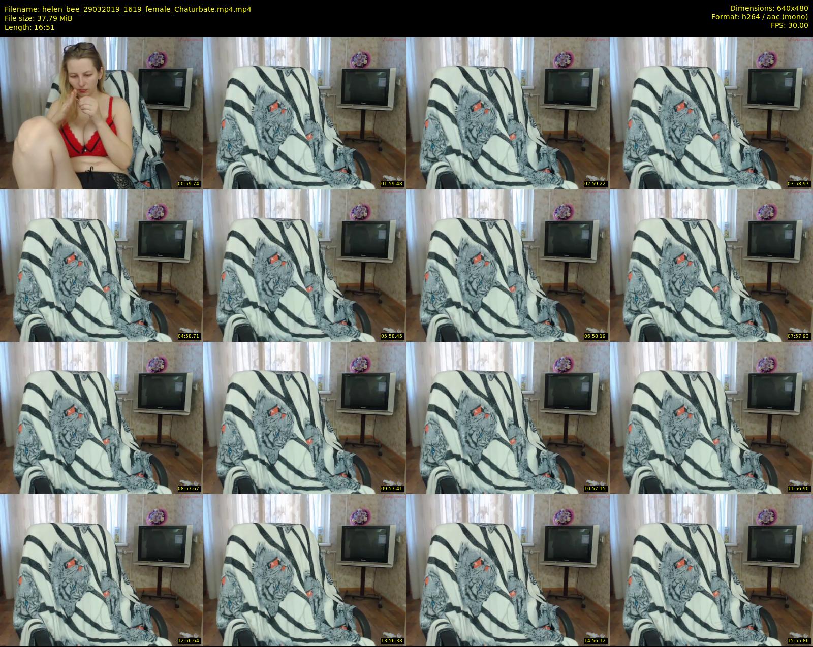 helen_bee — 17 minute Chaturbate female cam show recording, 480p, Mar 29, 2019