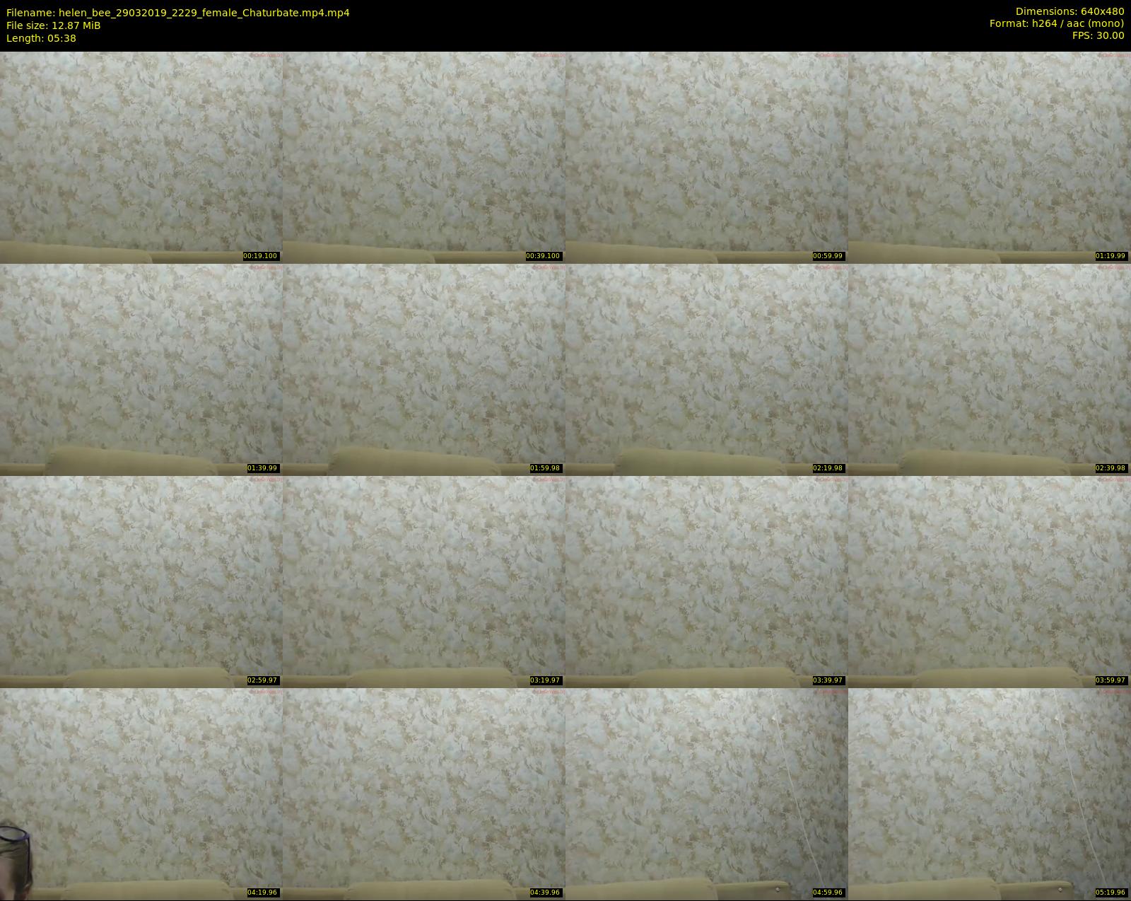 helen_bee — 6 minute Chaturbate female cam show recording, 480p, Mar 29, 2019