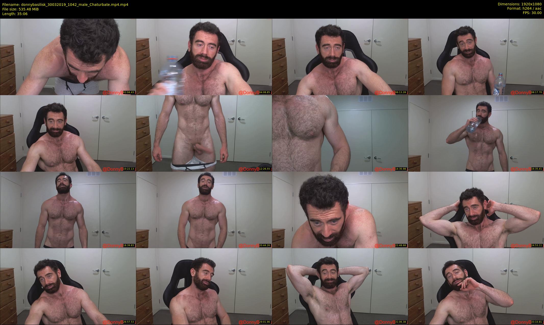 donnybasilisk — 36 minute Chaturbate male cam show recording, 1080p, Mar 30, 2019