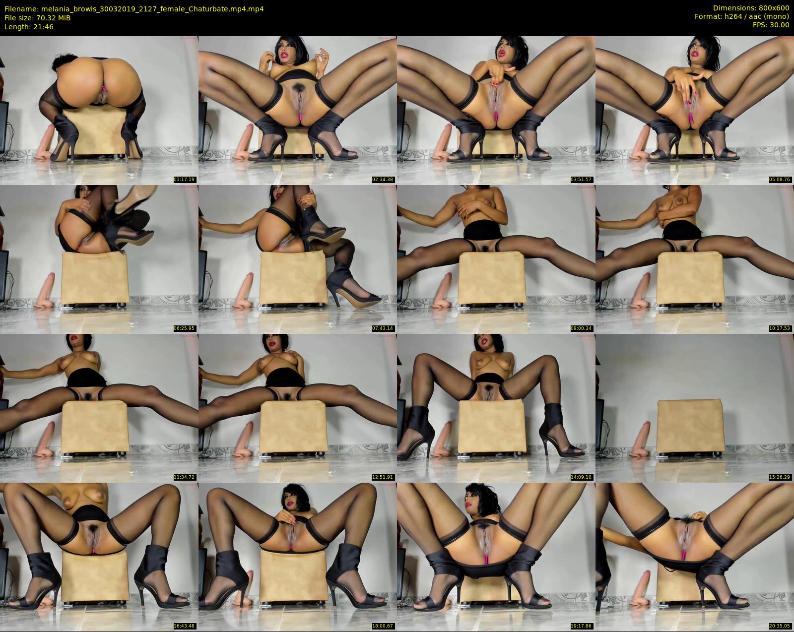 melania_browis — 22 minute Chaturbate female cam show recording, 480p, Mar 30, 2019
