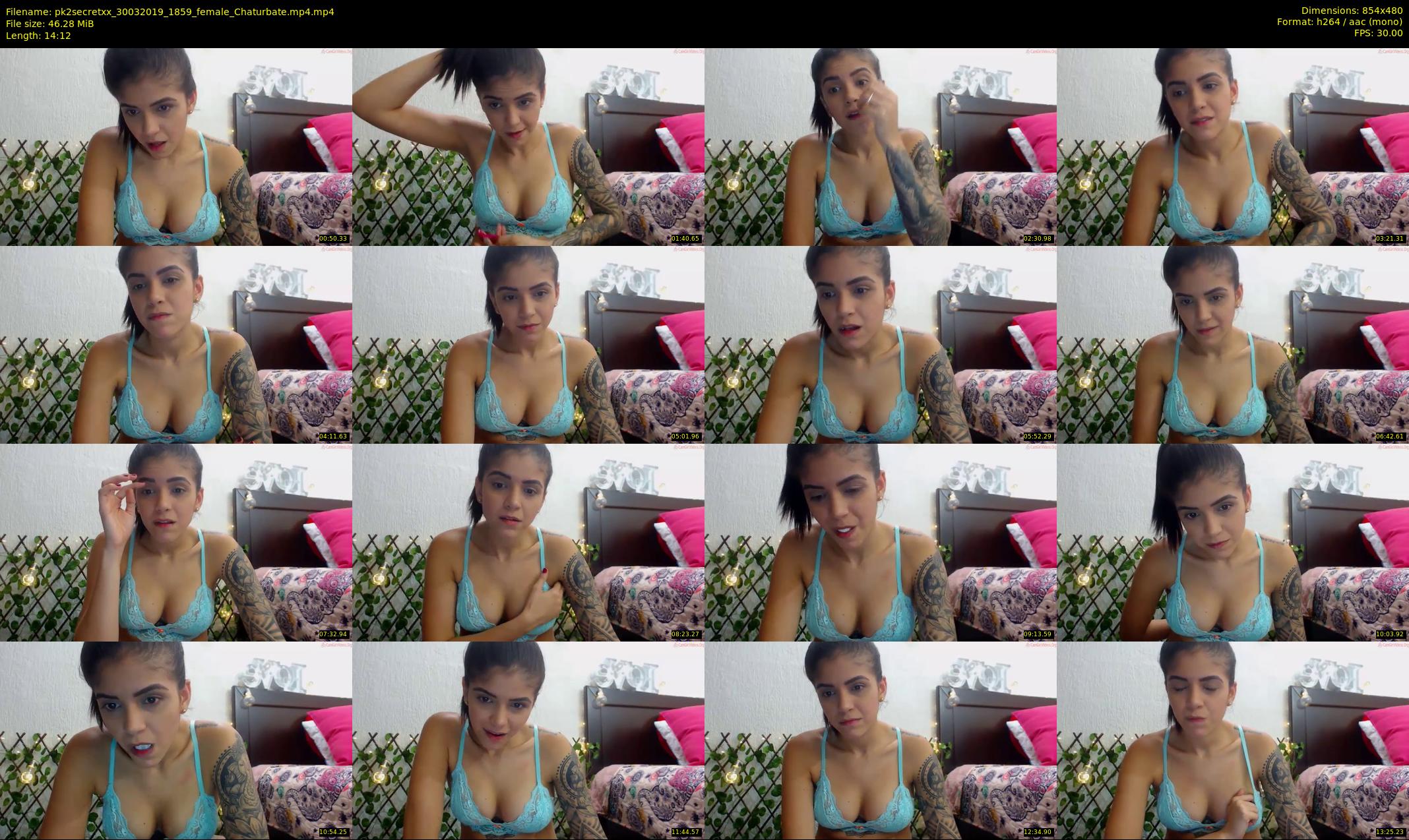 pk2secretxx — 15 minute Chaturbate female cam show recording, 480p, Mar 30, 2019