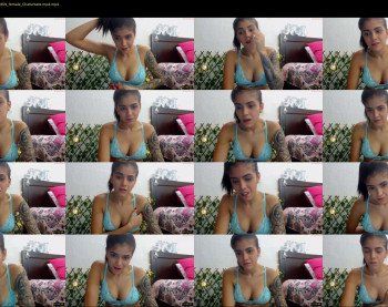 pk2secretxx — 15 minute Chaturbate female cam show recording, 480p, Mar 30, 2019
