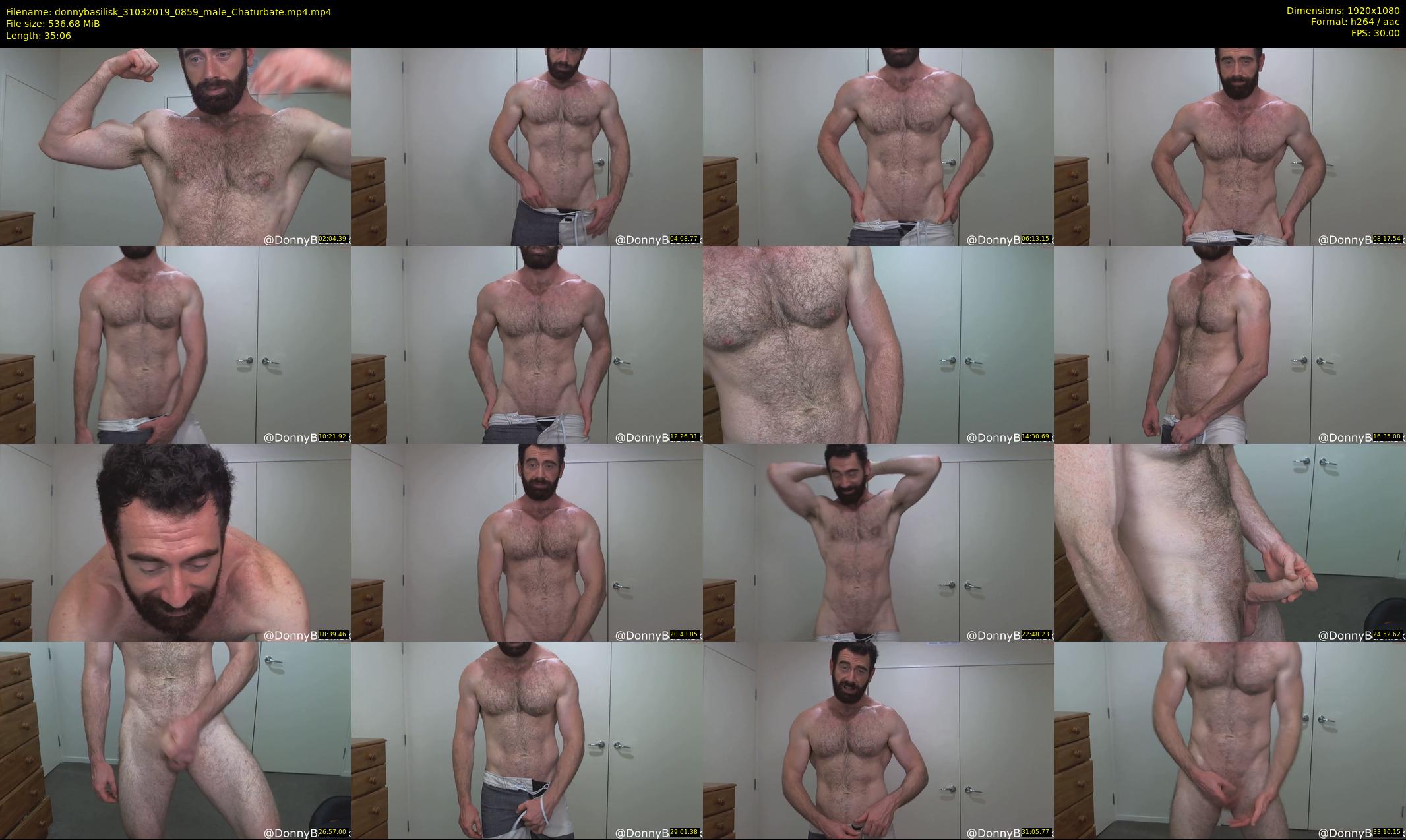 donnybasilisk — 36 minute Chaturbate male cam show recording, 1080p, Mar 31, 2019