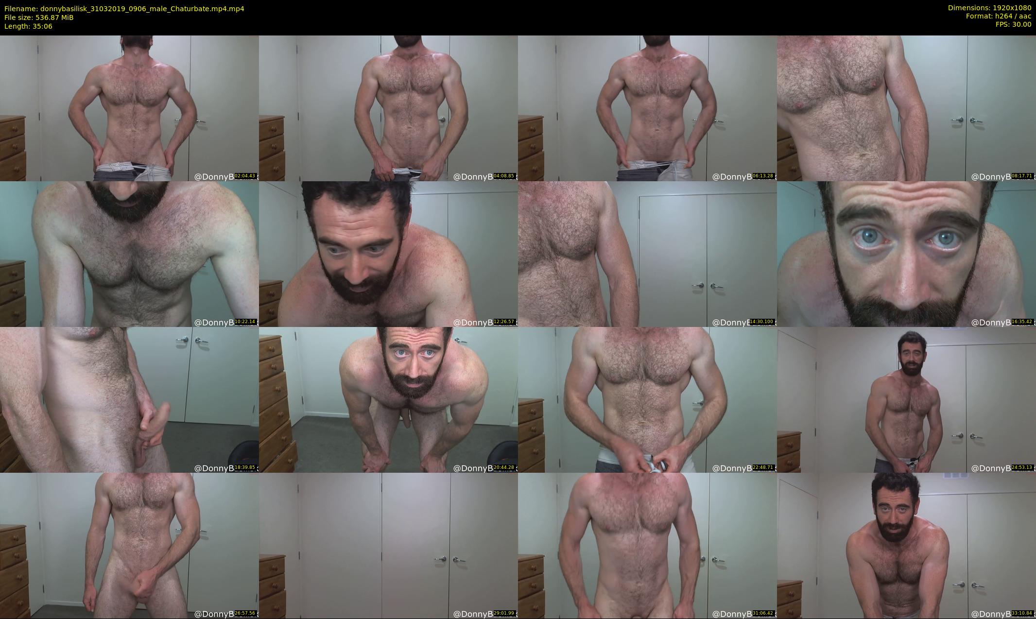 donnybasilisk — 36 minute Chaturbate male cam show recording, 1080p, Mar 31, 2019
