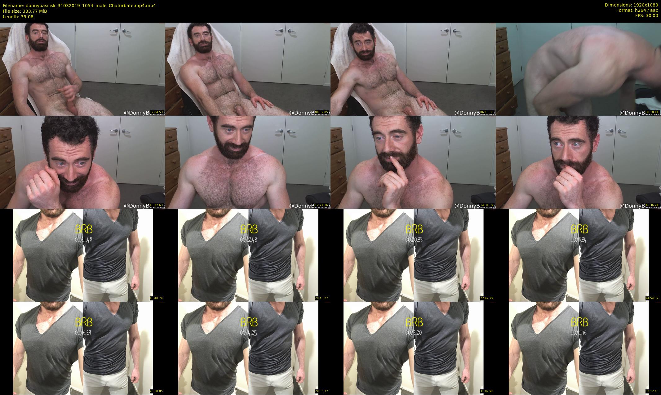 donnybasilisk — 36 minute Chaturbate male cam show recording, 1080p, Mar 31, 2019