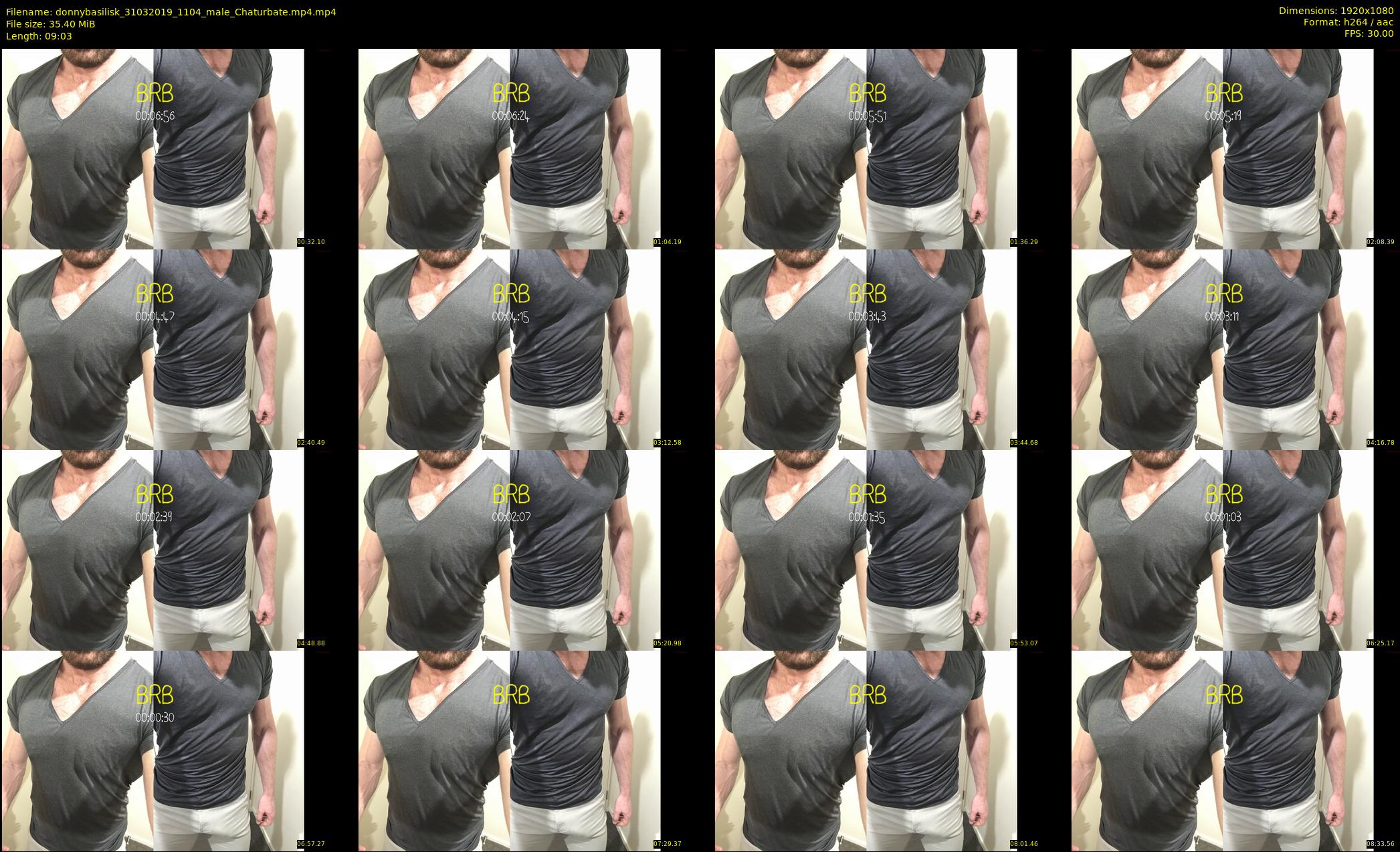 donnybasilisk — 10 minute Chaturbate male cam show recording, 1080p, Mar 31, 2019