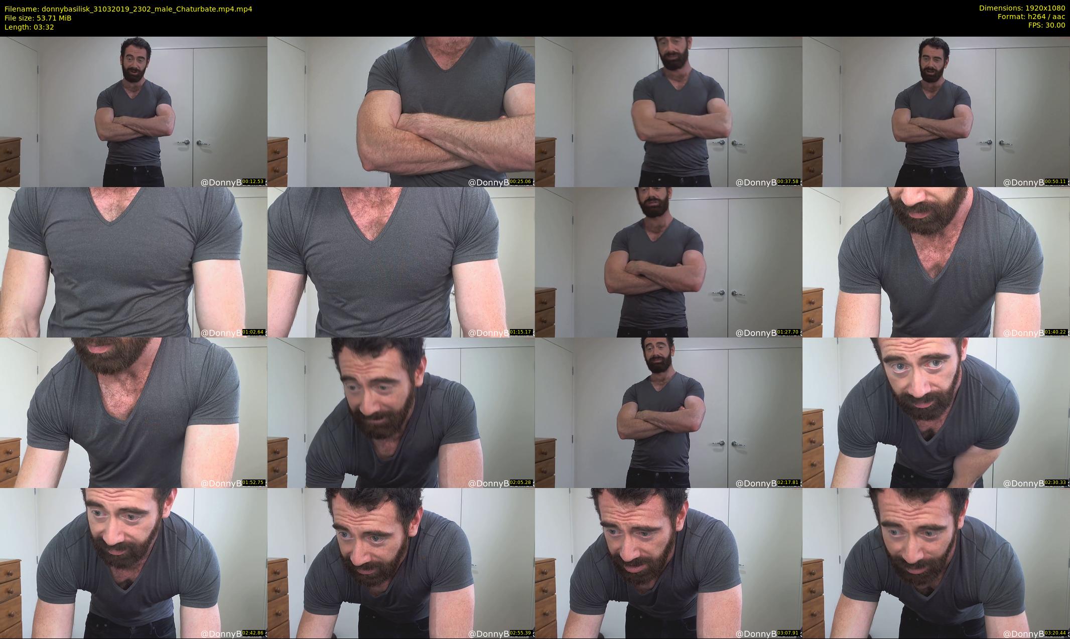 donnybasilisk — 4 minute Chaturbate male cam show recording, 1080p, Mar 31, 2019