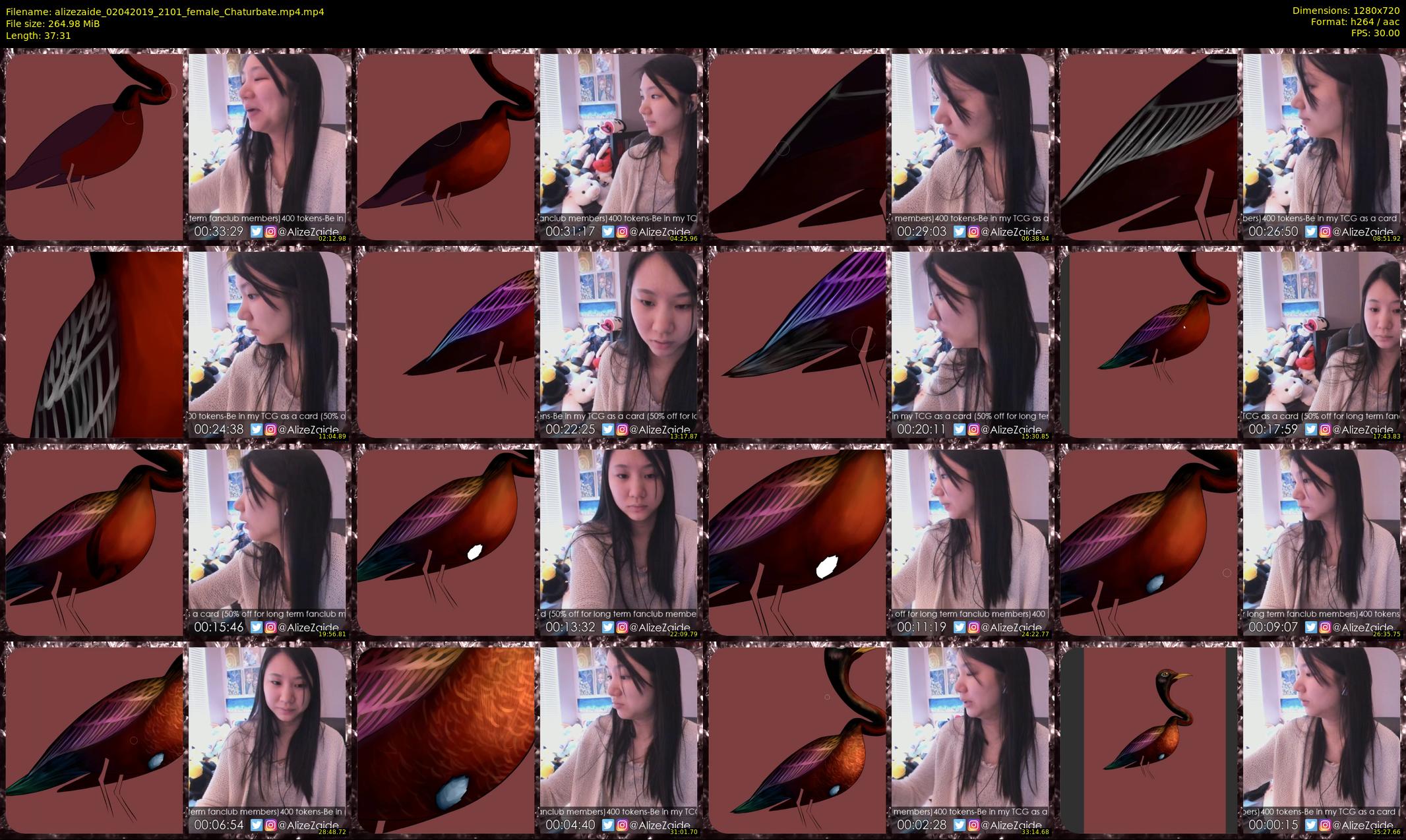 alizezaide — 38 minute Chaturbate female cam show recording, 720p, Apr 2, 2019