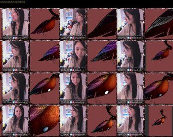 alizezaide — 38 minute Chaturbate female cam show recording, 720p, Apr 2, 2019