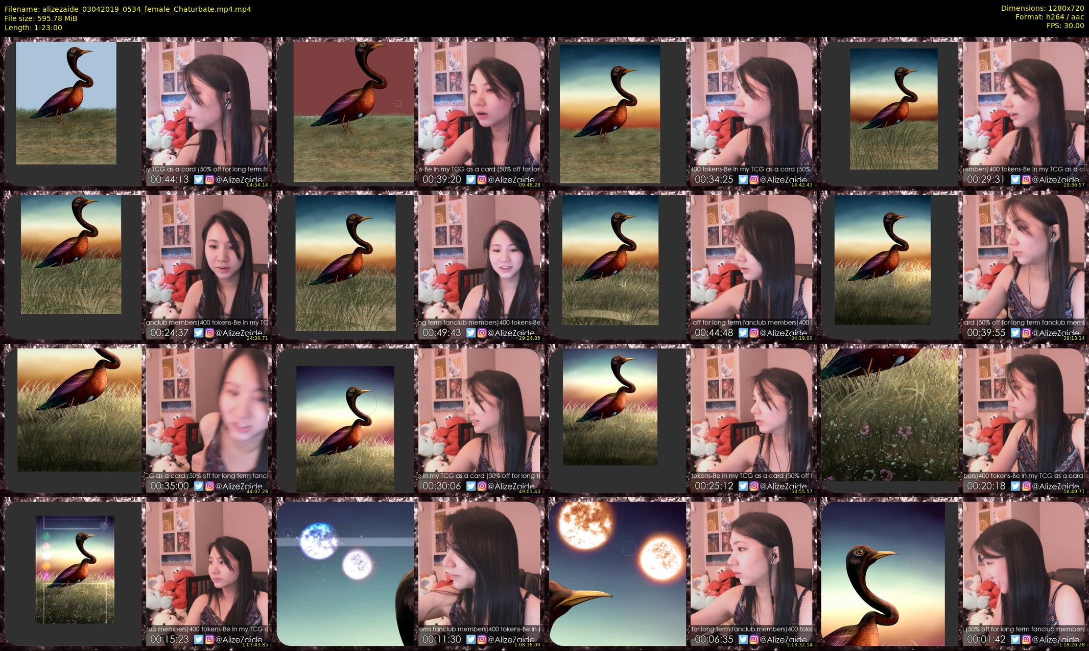 alizezaide — 83 minute Chaturbate female cam show recording, 720p, Apr 3, 2019