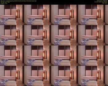 hugetittiesgerda — 14 minute Chaturbate female cam show recording, 480p, Apr 2, 2019