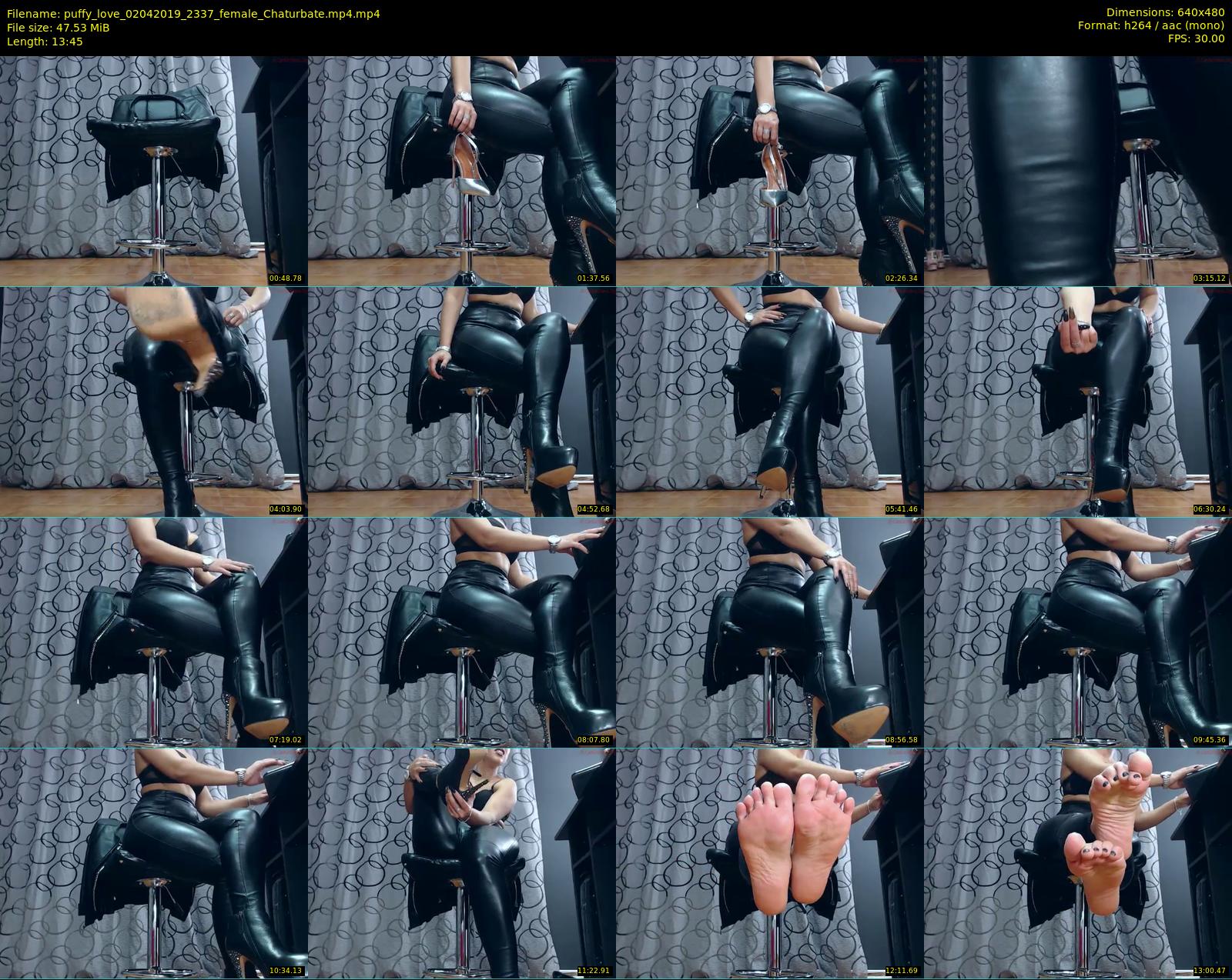 puffy_love — 14 minute Chaturbate female cam show recording, 480p, Apr 2, 2019